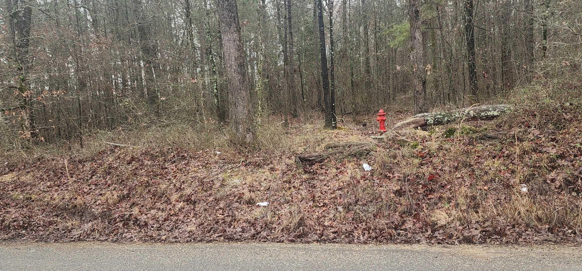 Looking for a beautiful Country Lot for your new home? This is your chance. Mature hardwoods and quiet living. Some utilities available. No Restrictions! Give me a call today!