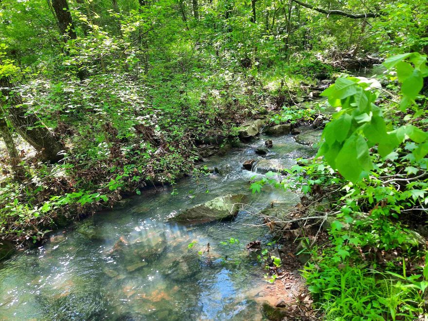 Nestled in a beautiful wooded setting, lays good, short distance off pavement but private.  Build your dream home or park your RV and relax.  Don't miss out on this one.
