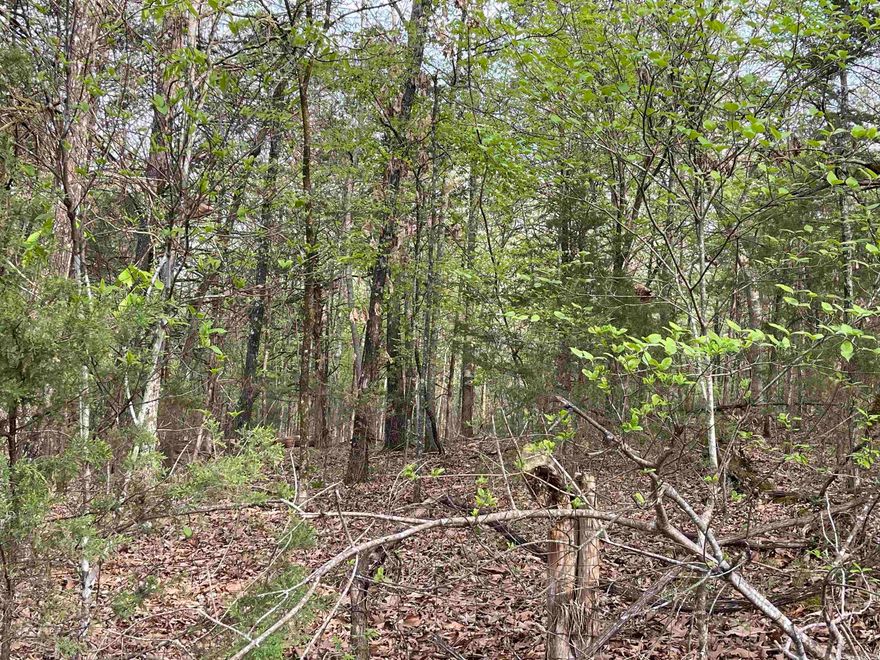 Located close to the White River. 1.22 flat acres located just up the road from the White River. Buried utilities are already in place. Does have a HOA. This property is perfect to build on. Additional lot is available. Nice level lots near the White River. This 1.22 level acres are located just up the road from the White River. You are only minutes from putting your boat in at the private ramp associated with your lots. Buried utilities are already available for you to build your home minutes from fishing for trout. HOA is available. Additional lot is available for a larger yard.