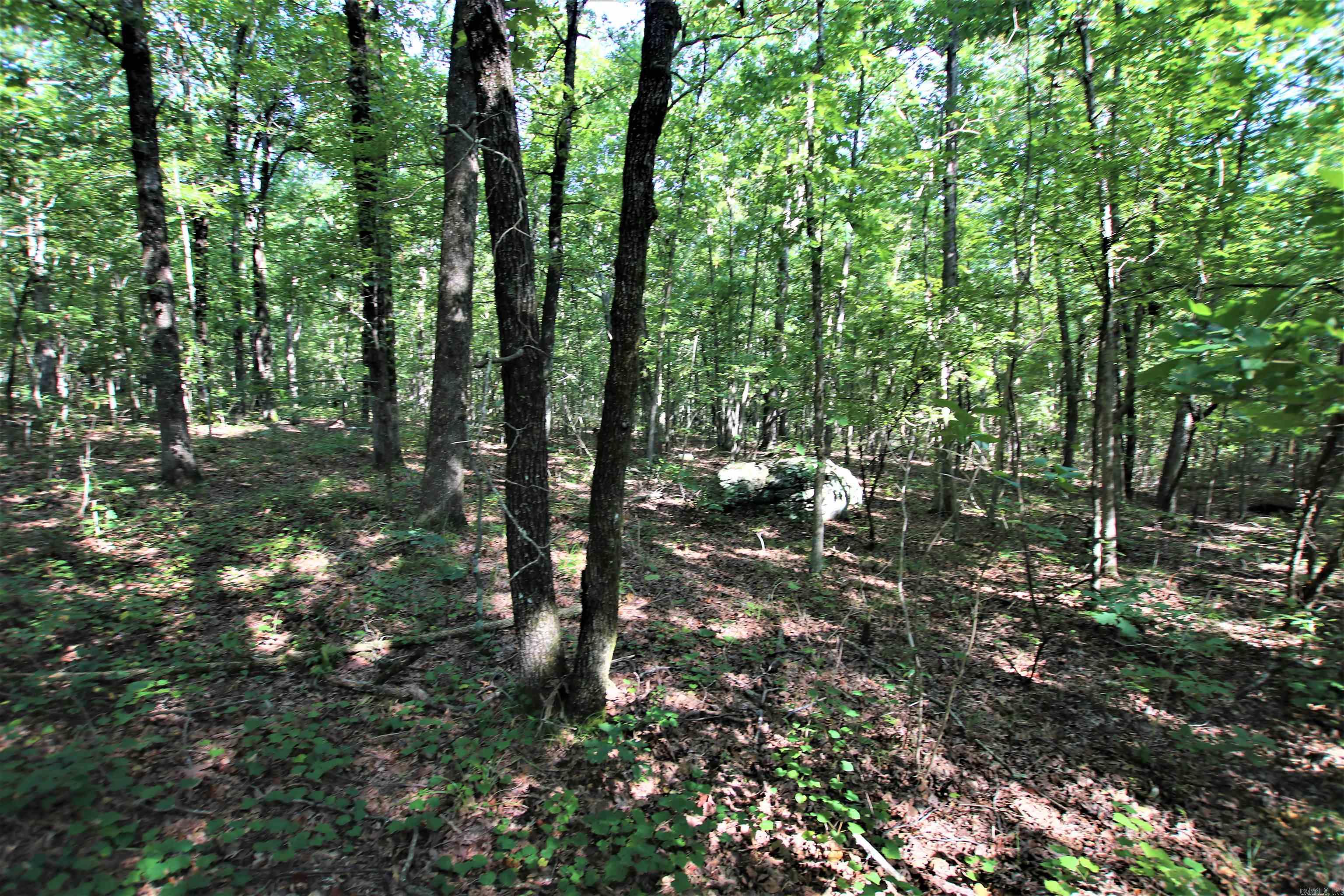 Not in Subdivision - Land