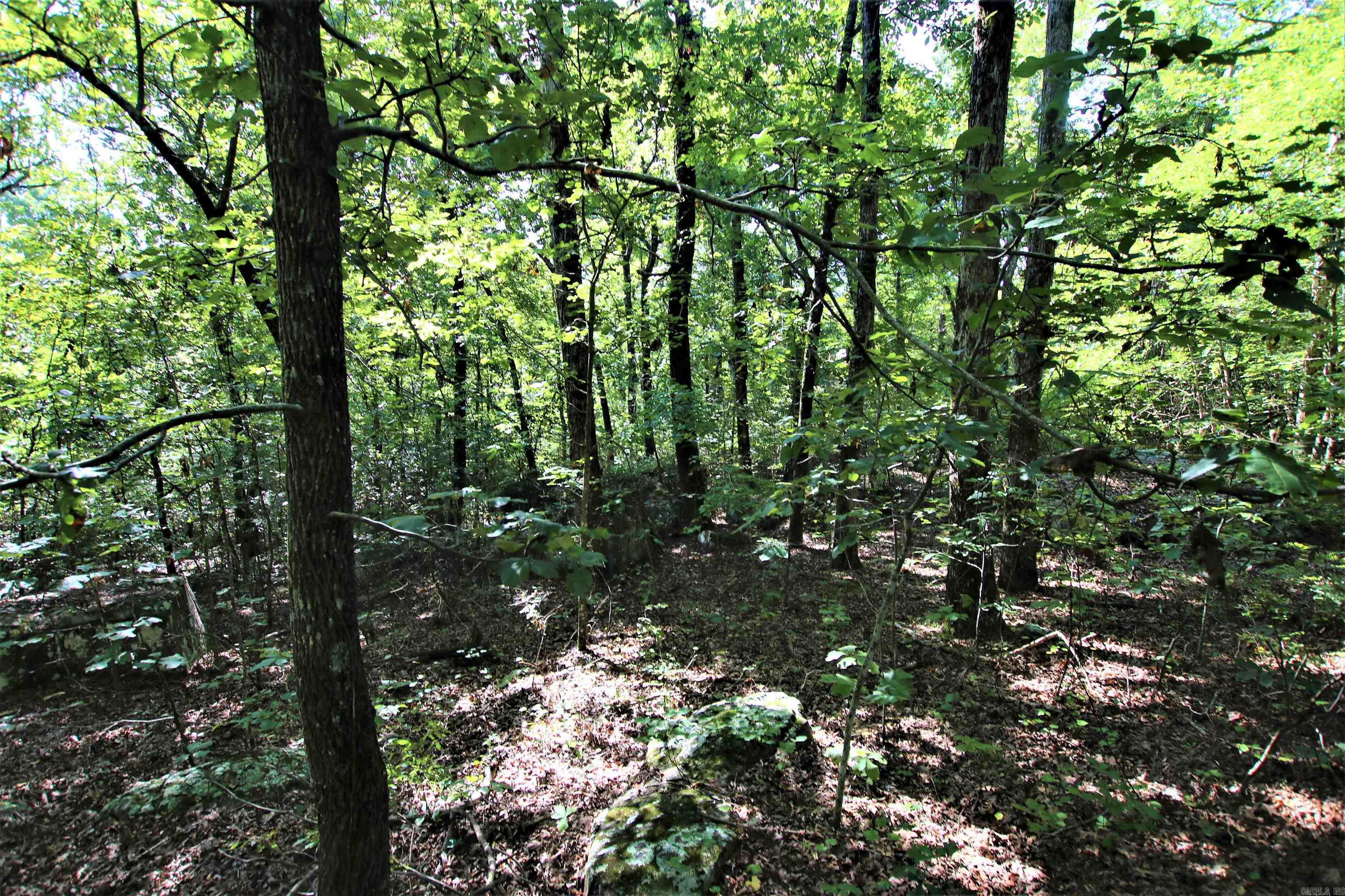 Not in Subdivision - Land