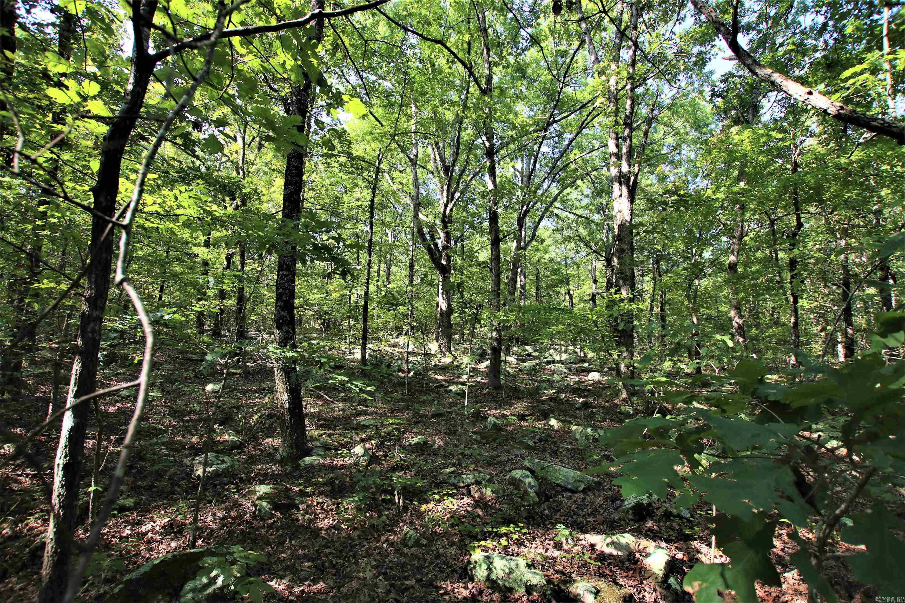 Not in Subdivision - Land