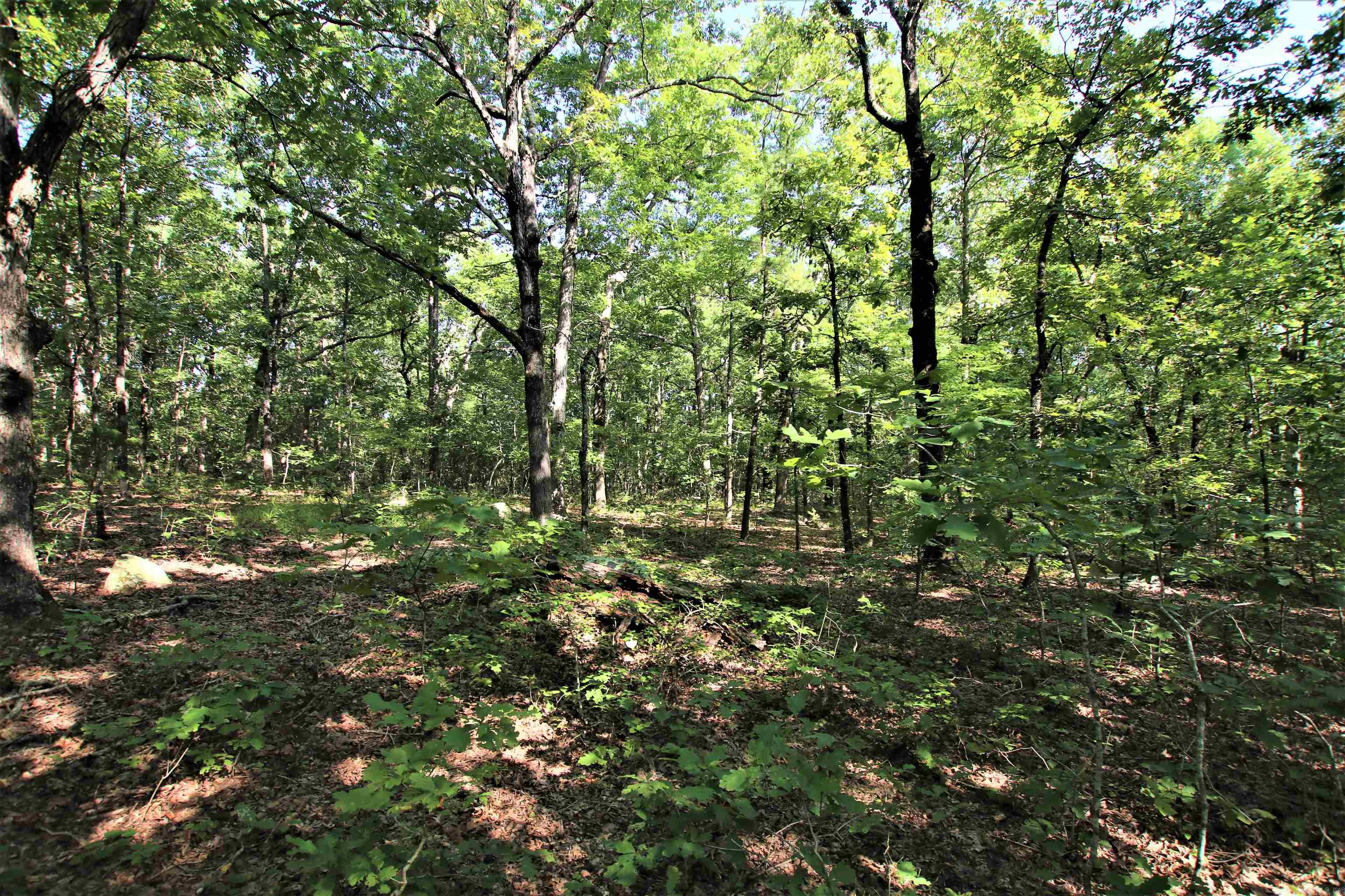 Not in Subdivision - Land