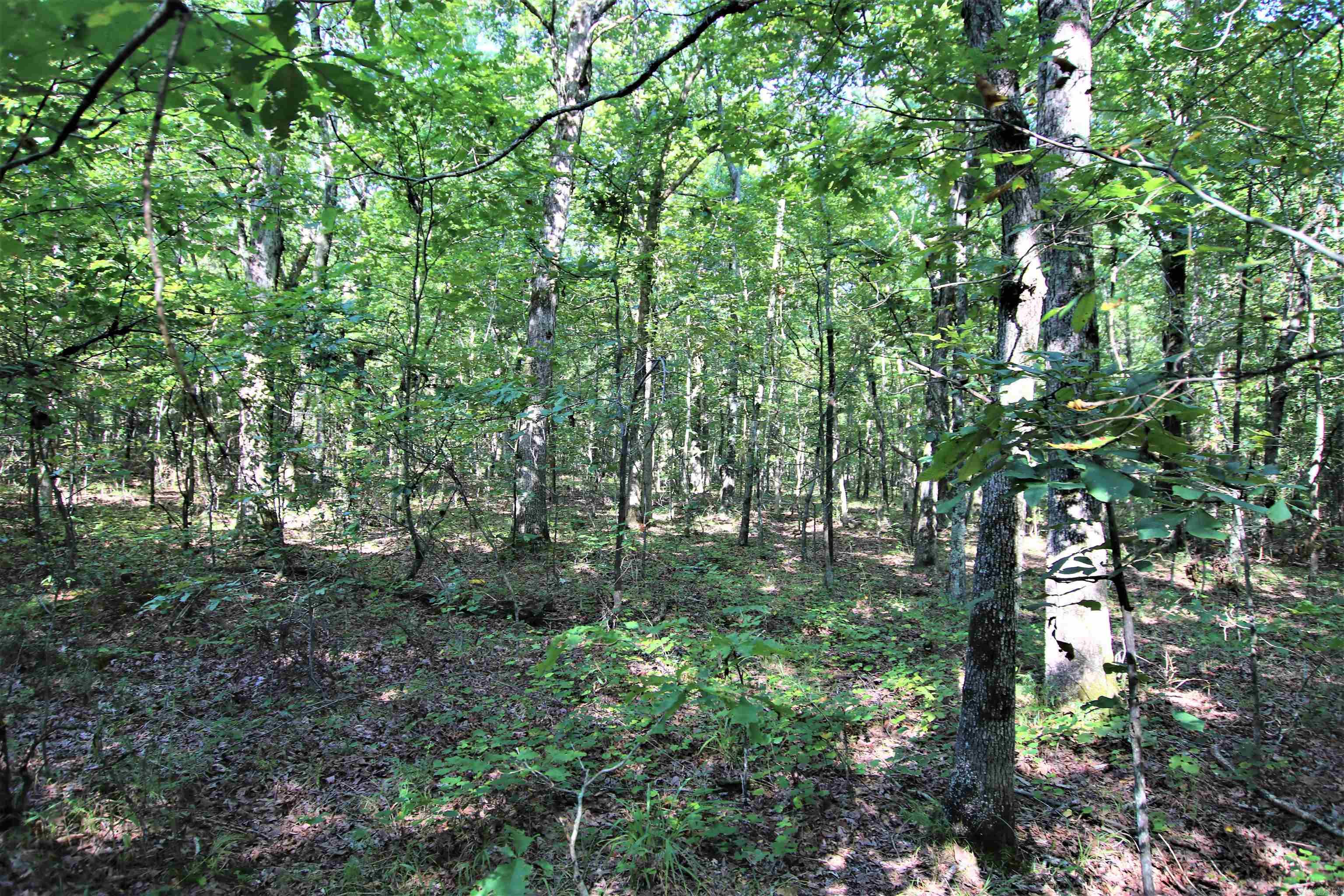 Not in Subdivision - Land