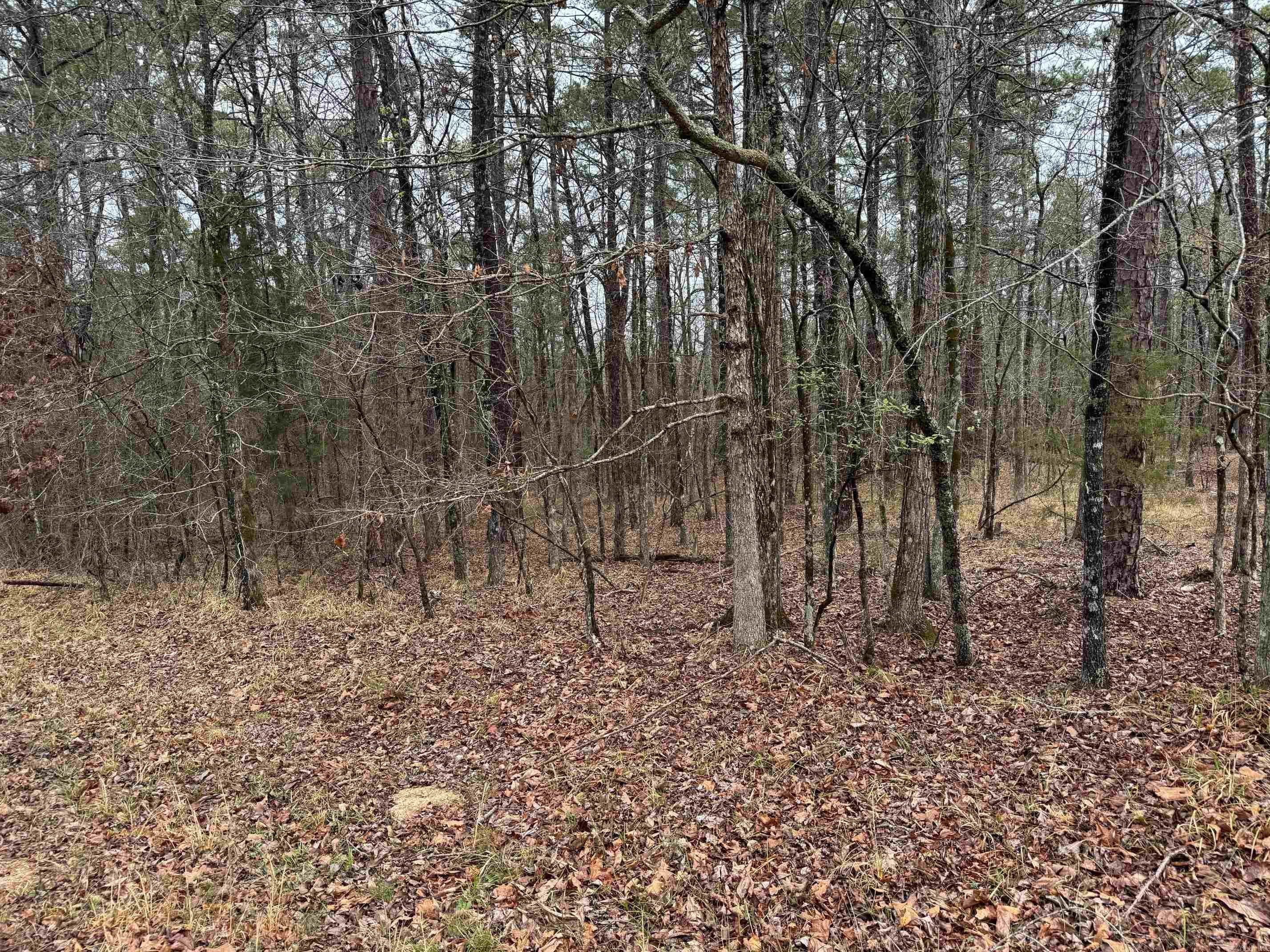 NEAR PONCE DE LEON GOLF COURSE...CALL RIGHT AWAY FOR THE DETAILS...