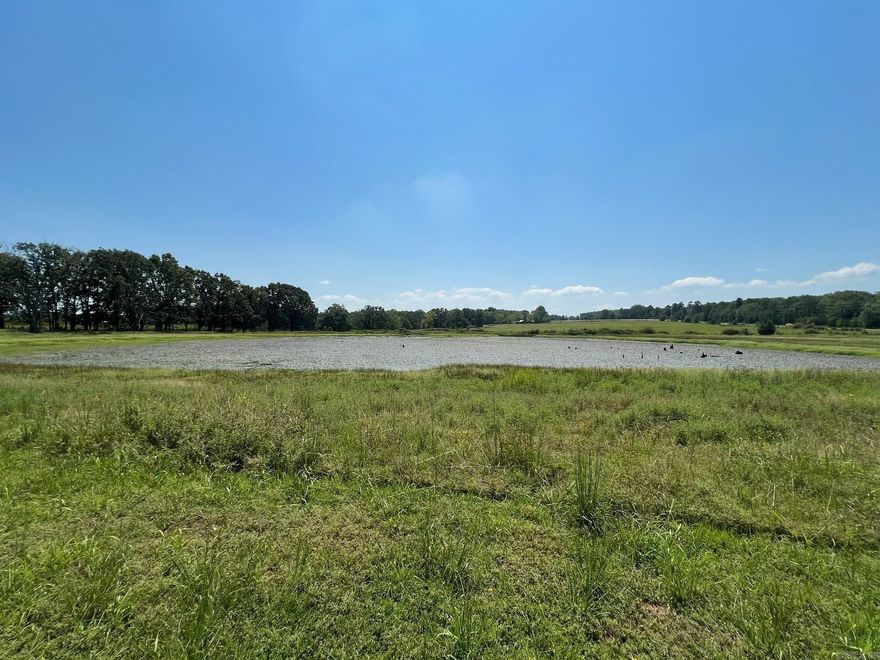 Pretty 14 acres in Alread with Nice Pond. Property  has blacktop road frontage City Water and Electric are available. Seller will owner finance this property