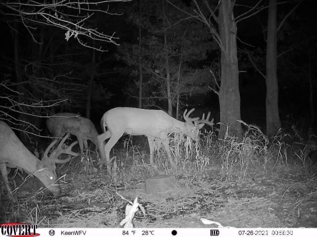 Metes & Bounds - Land