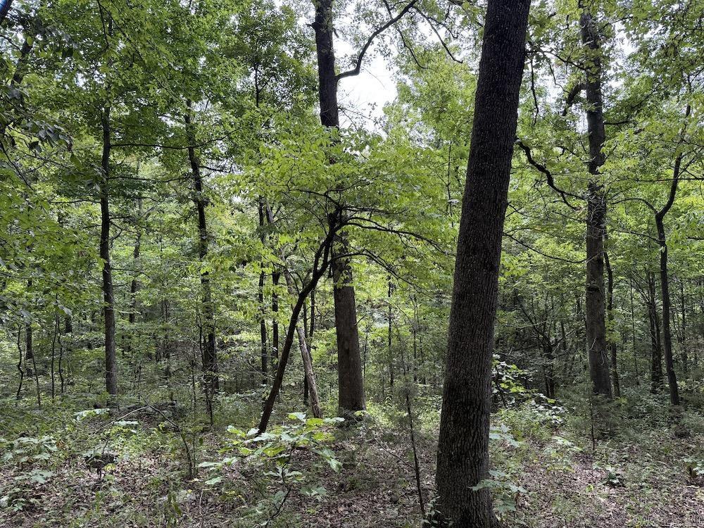 Nestled in the Ozarks just minutes from Harrison, this property is a rare chance to own a private natural retreat. With rolling terrain, bluffs, boulders, and seasonal waterfalls, it is perfect for hiking, camping, or soaking in the views. Mature hardwoods including white oak, red oak, black oak, and hickory offer timber value, while dense forest and rugged landscape provide habitat for deer, turkey, and even black bear, making it a hunter’s dream. A newly cut entrance trail connects to a county road, giving easy access without sacrificing seclusion. Located near the Buffalo National River headwaters, you will be close to canoeing, fishing, and endless exploration. Whether you want an off grid homestead, sustainable retreat, or simply a peaceful escape, this land is a perfect fit. Owner financing available.