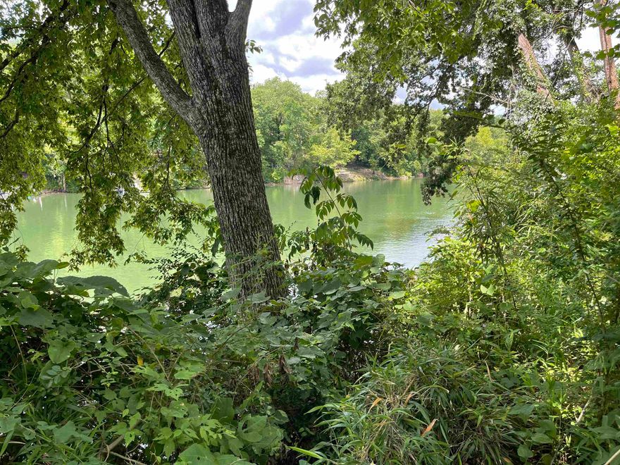 Spring River lot available located in Rio Vista 3 established river homes. Close to Rio Vista falls. Property is located in flood and will require any building to be on Piers. Elevation certificate required. Property located near Loberg Park downtown Hardy. Within walking distance to the famous Rivertown of Hardy with quaint shops, consisting of antiques and collectibles to boutiques and ice cream shop, Thai food, BBQ and other varieties of shopping. This property has power, city sewer and water available.