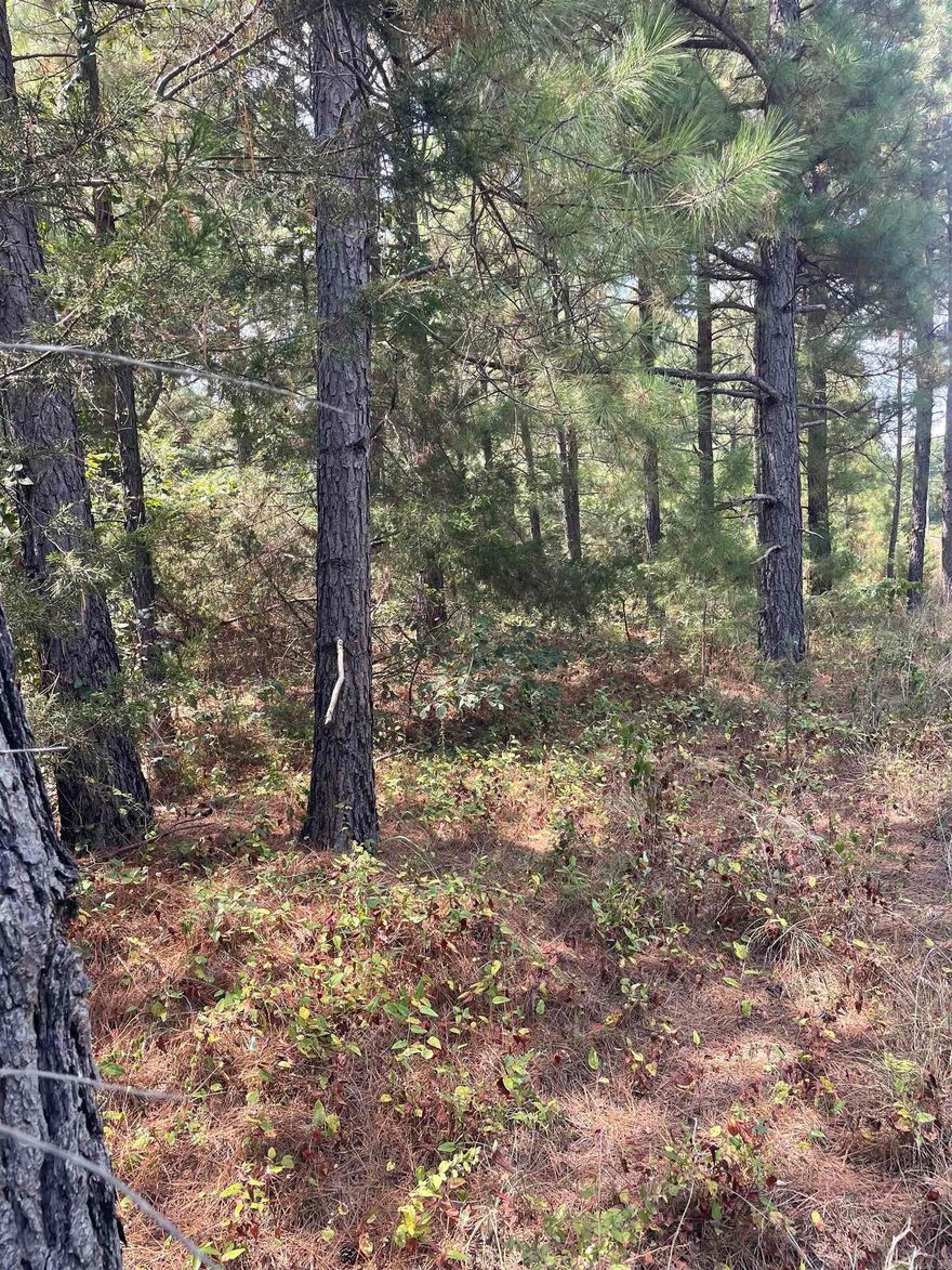 This is newly subdivided property is split into 3 and up to 11 acres  This is gently slops with rural water and First Electric power.  Some lots have water features such a spring feed ponds, some have trees and some are open.  Take a look today and call me for further details.