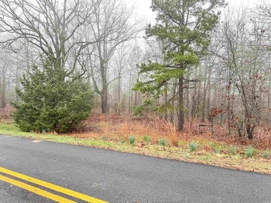 37 HIGH POINT DR, MAYFLOWER, AR 72106 - Image db00a51ec3fea65f8ce3d8aed7e5c2dd/3390788207