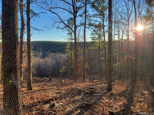TIMBERLINE RD, LESLIE, AR 72645 - Image db2cf24e3de1dc2fb6f39329426e4253/209959385