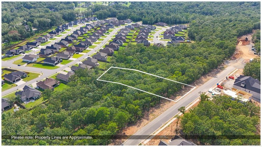 Welcome to Millers Ridge Estates! Discover the ideal location for your dream home in the heart of Sherwood! Millers Ridge Estates is a gated community with a collection of beautiful residential lots, each designed to cater to your unique lifestyle and preferences.  Each lot offers unique features and ample opportunities for building your dream home!  Ready to make your dream a reality?Call today for more information or to schedule a visit. Don’t miss out on this incredible opportunity to build your ideal home in Millers Ridge Estates!