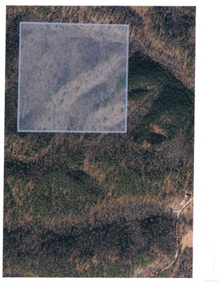 ADDRESS PRIVATE, MENA, AR 71953 - Image db3d309a2186b4c378880cdad9bedbf1/2704880976