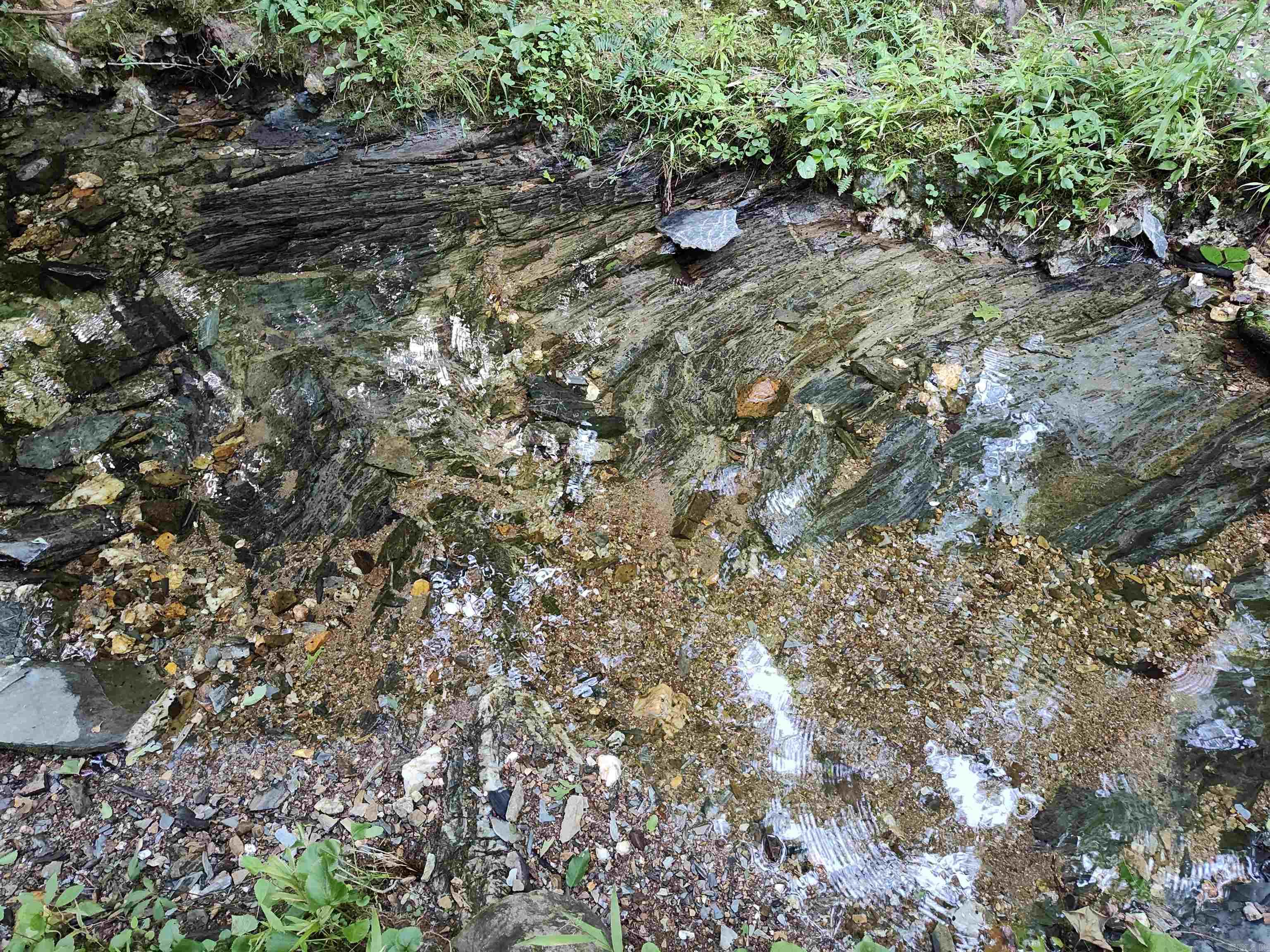 Metes & Bounds - Farm