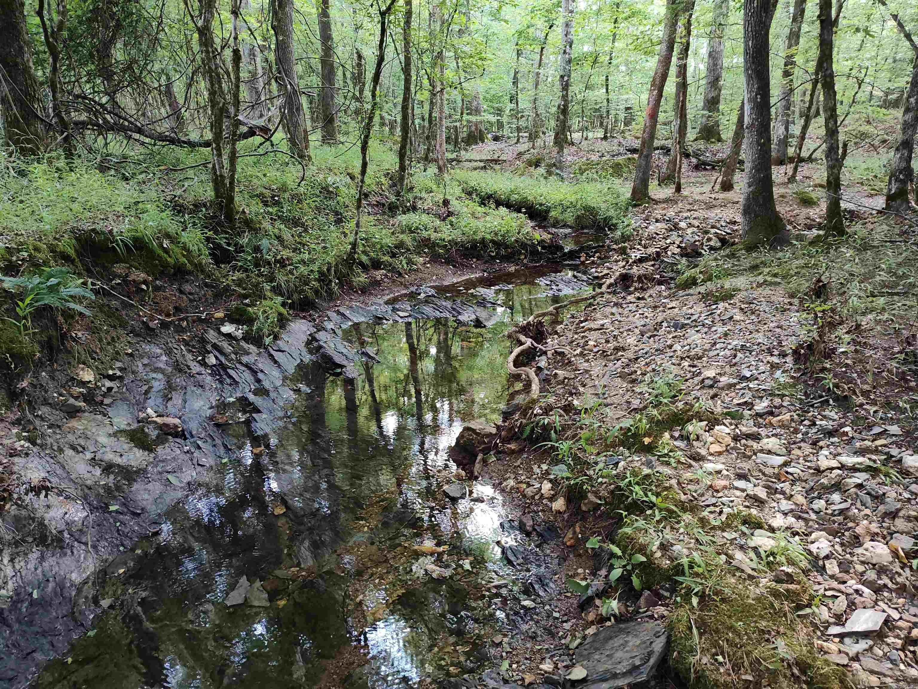 Metes & Bounds - Farm