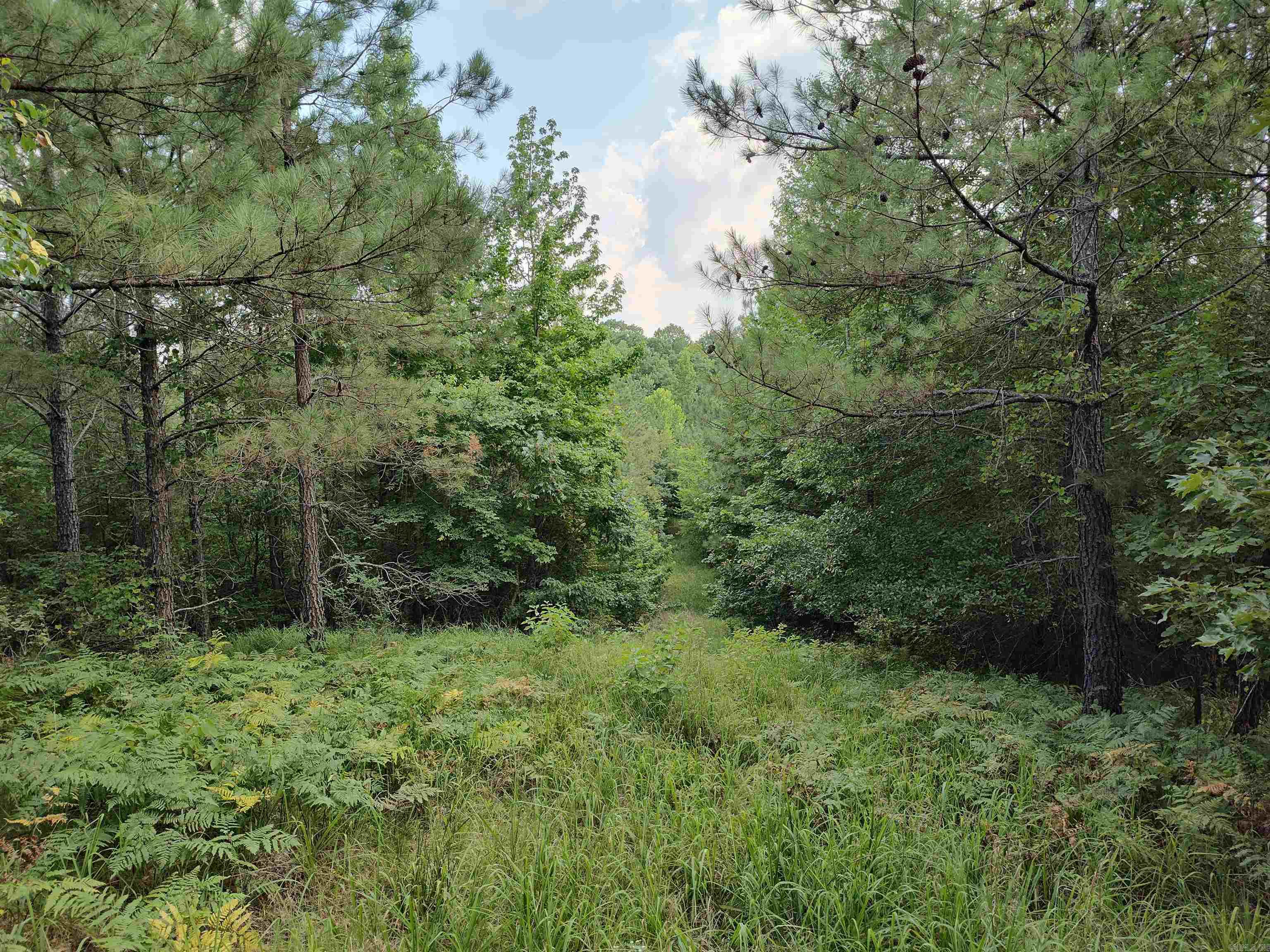 Metes & Bounds - Farm