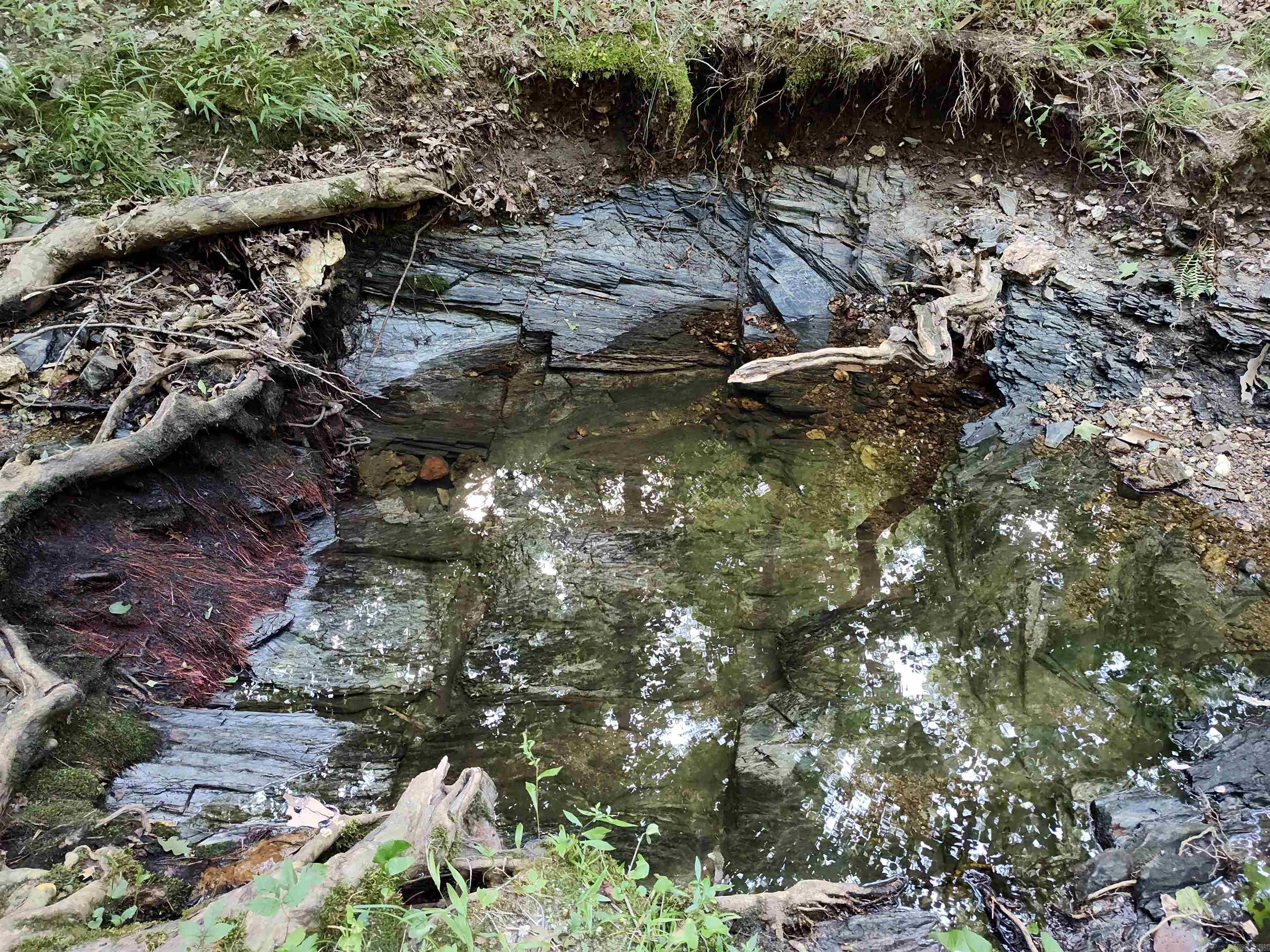 Metes & Bounds - Farm