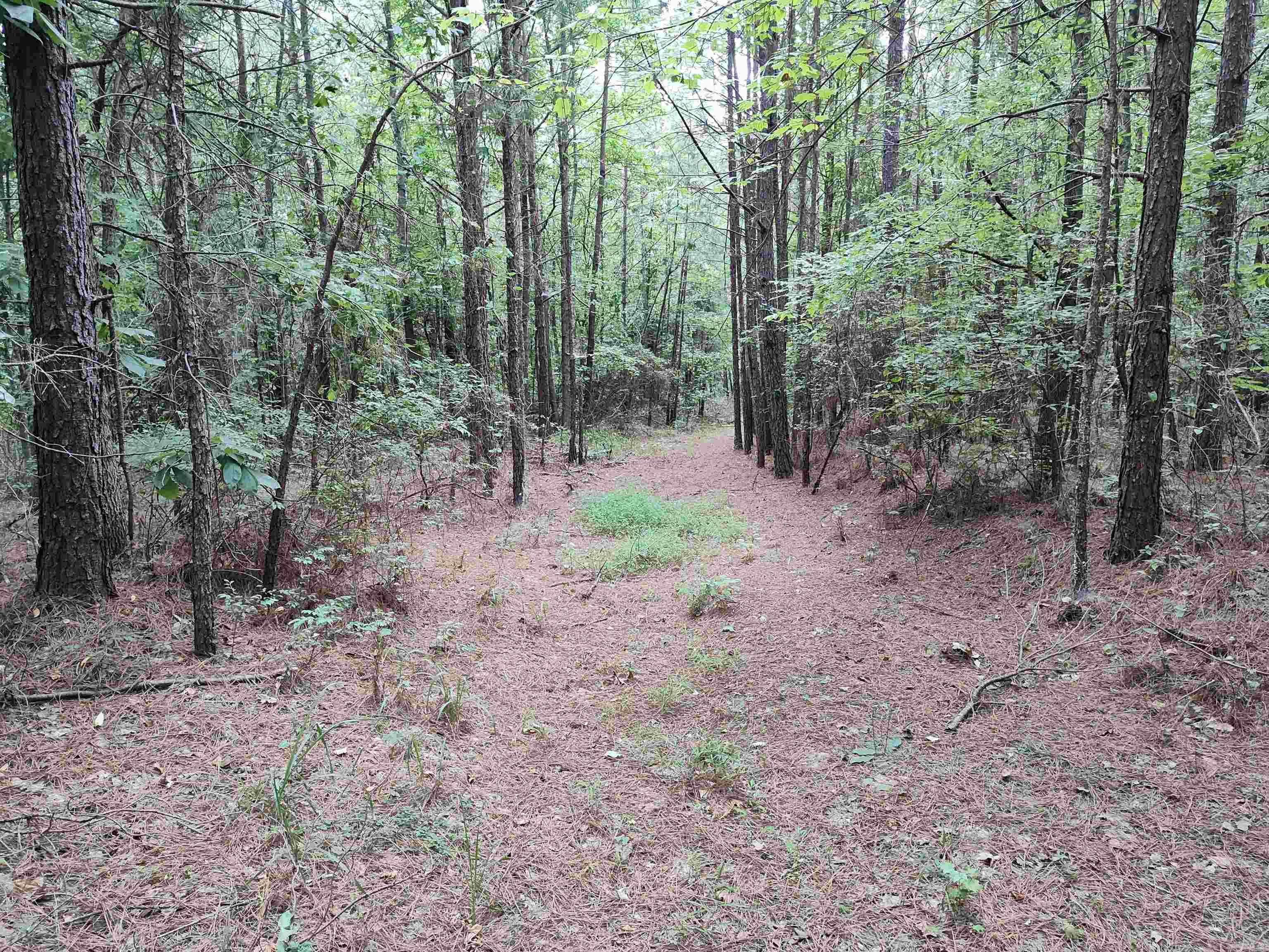 Metes & Bounds - Farm