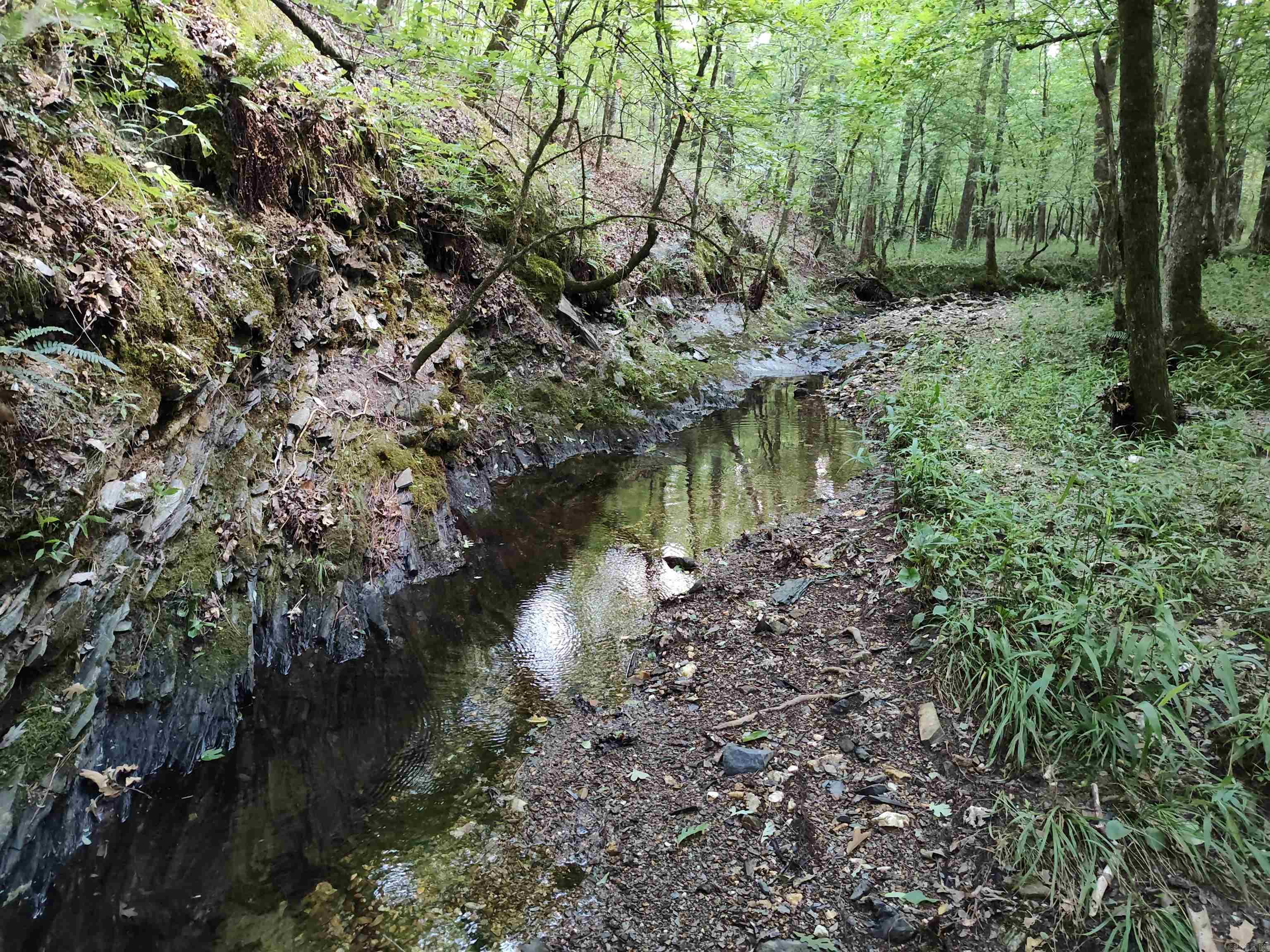 Metes & Bounds - Farm