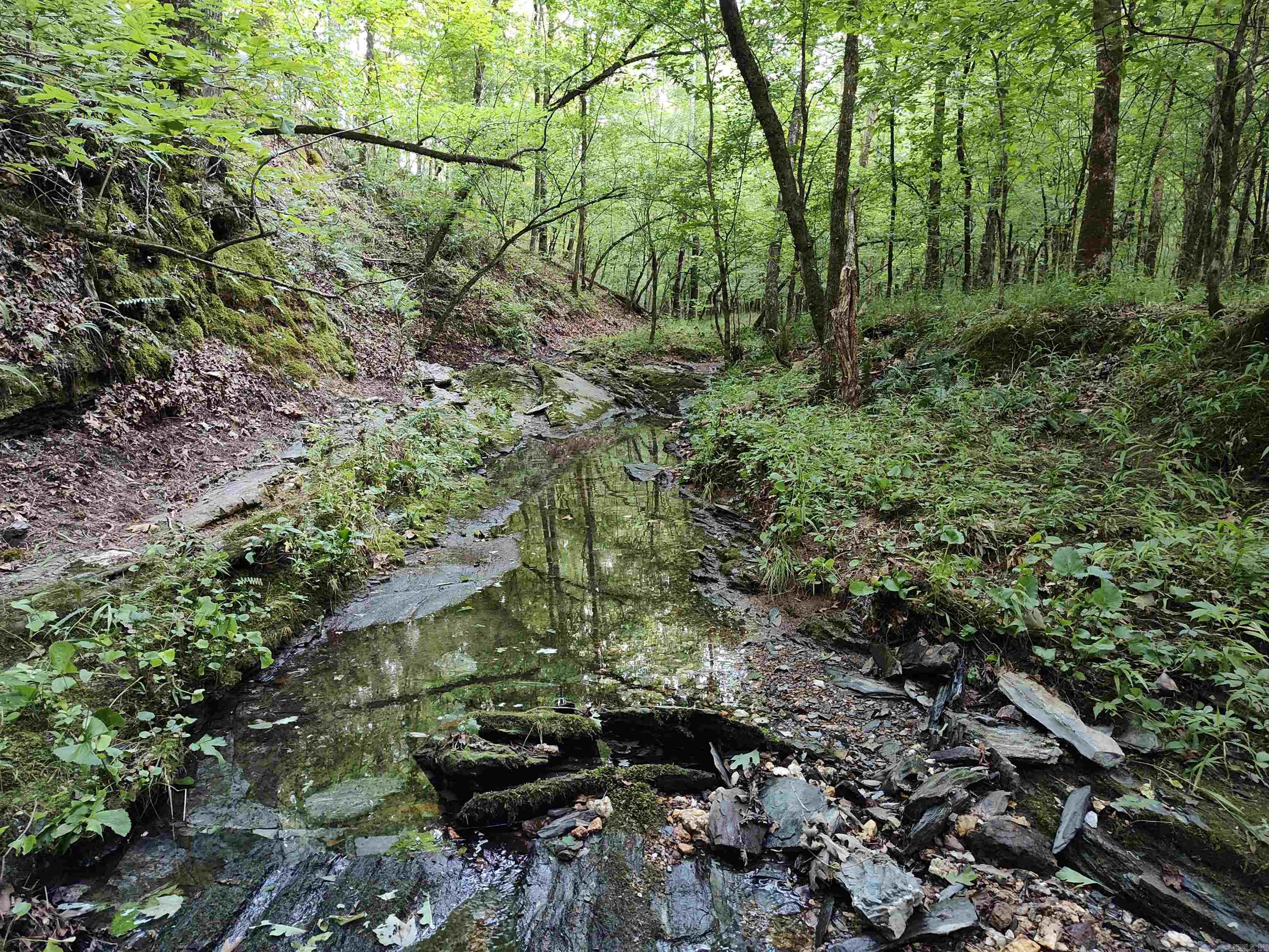 Metes & Bounds - Farm