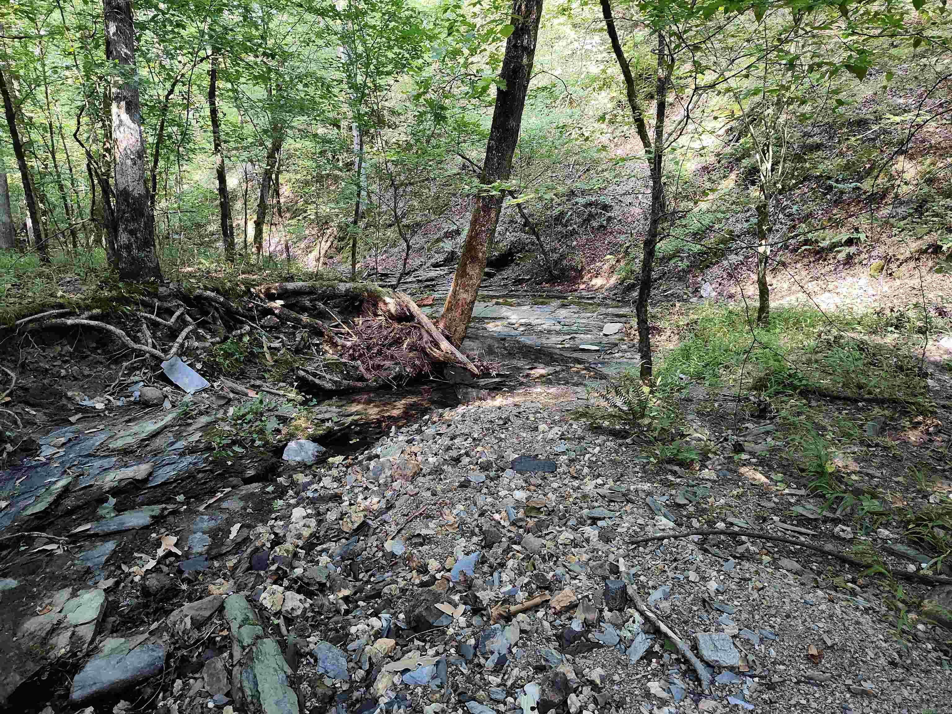 Metes & Bounds - Farm