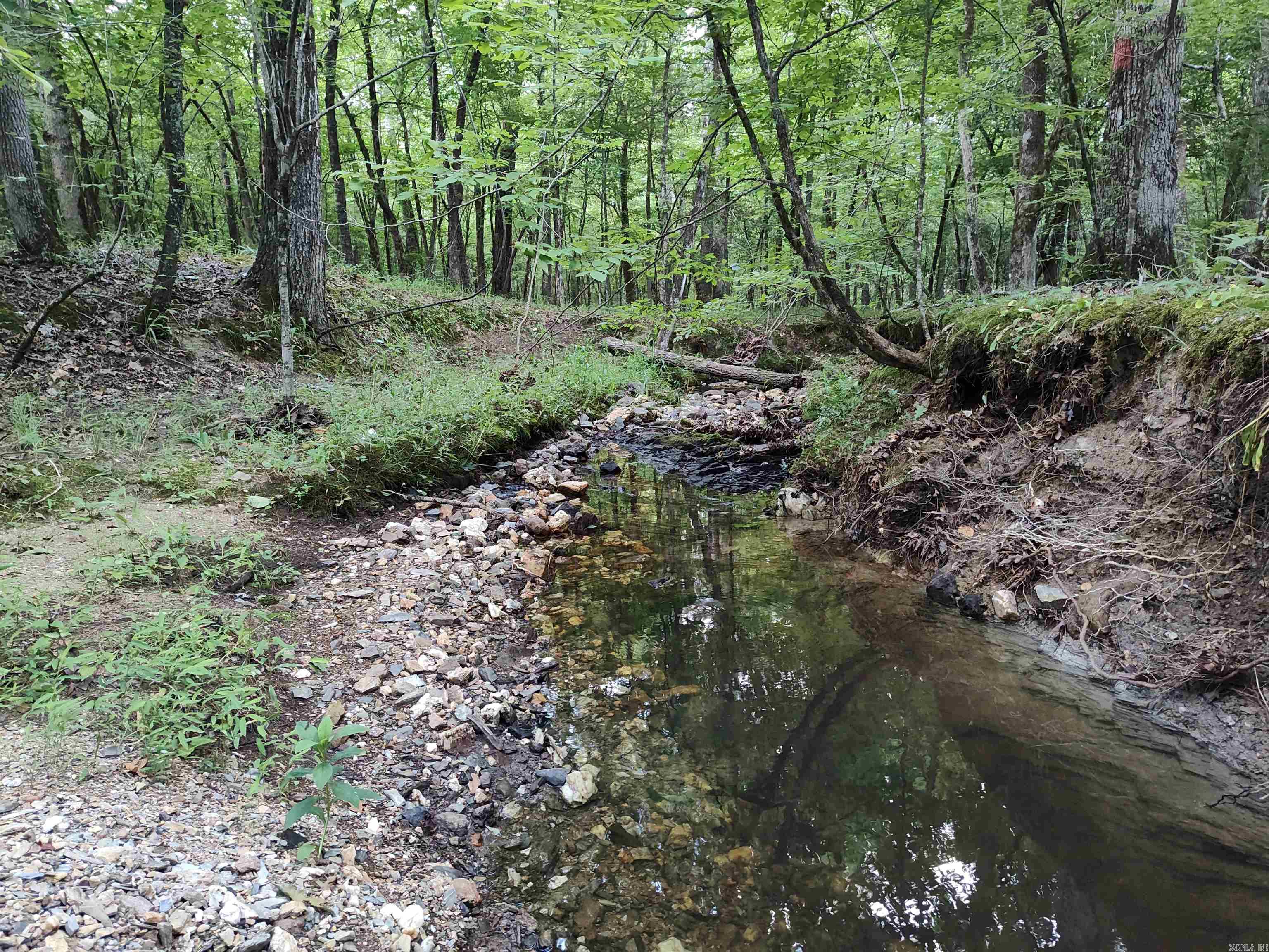 Metes & Bounds - Farm