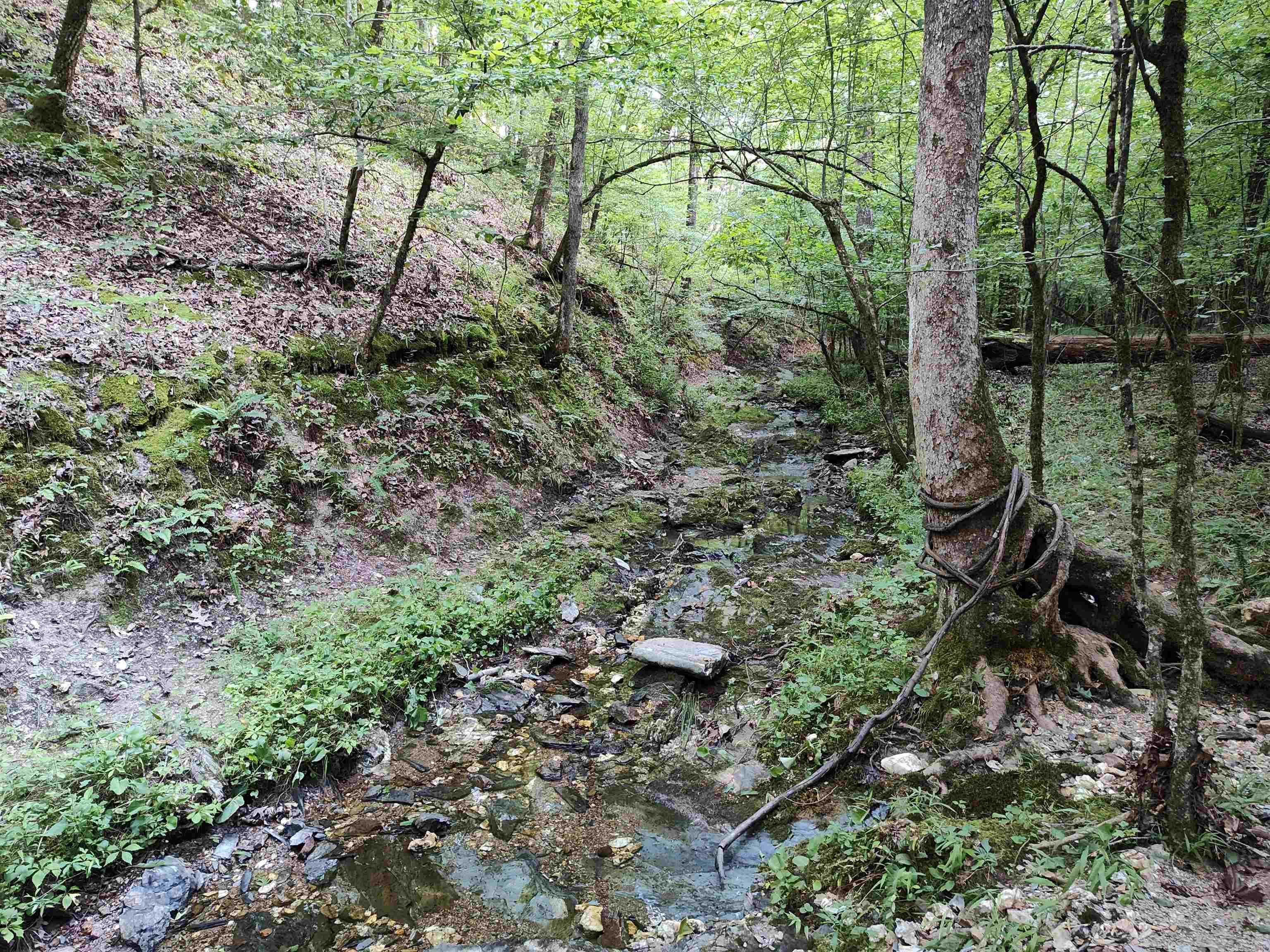 Metes & Bounds - Farm