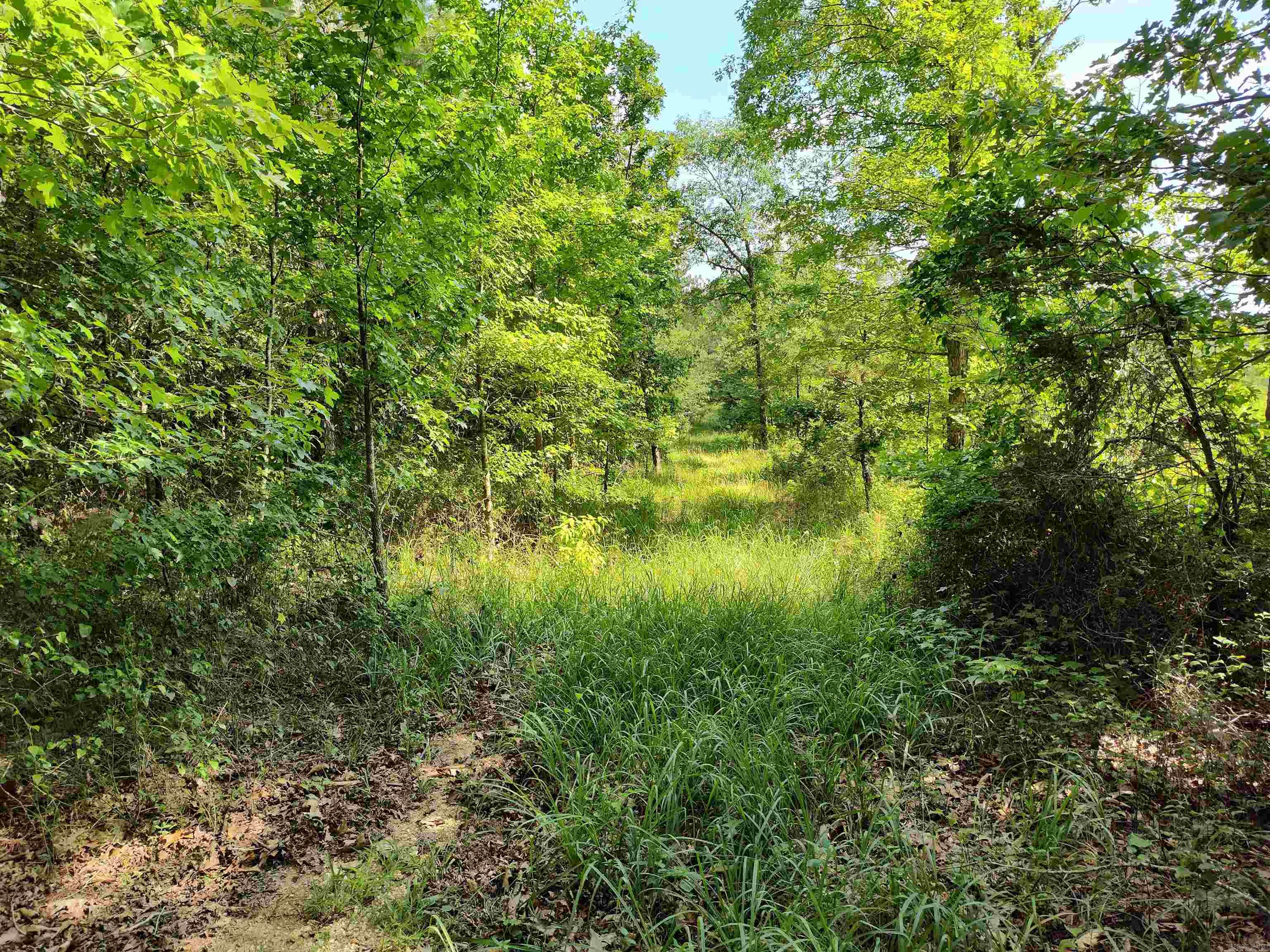 Metes & Bounds - Farm