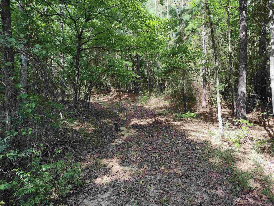 50 acres wooded, hills, creeks, paths.  ready for your own use.  come take a look at this great opportunity