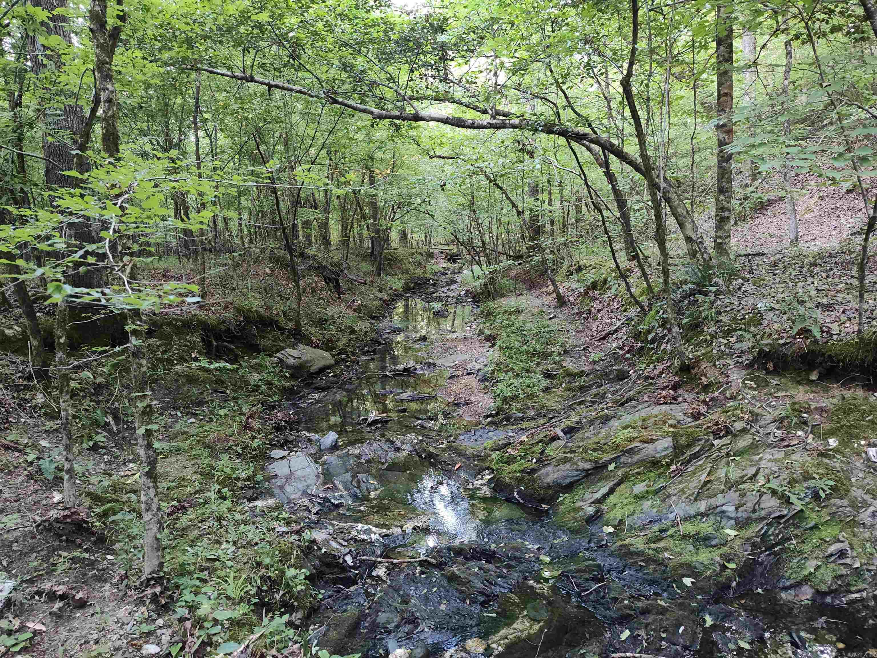 Metes & Bounds - Farm