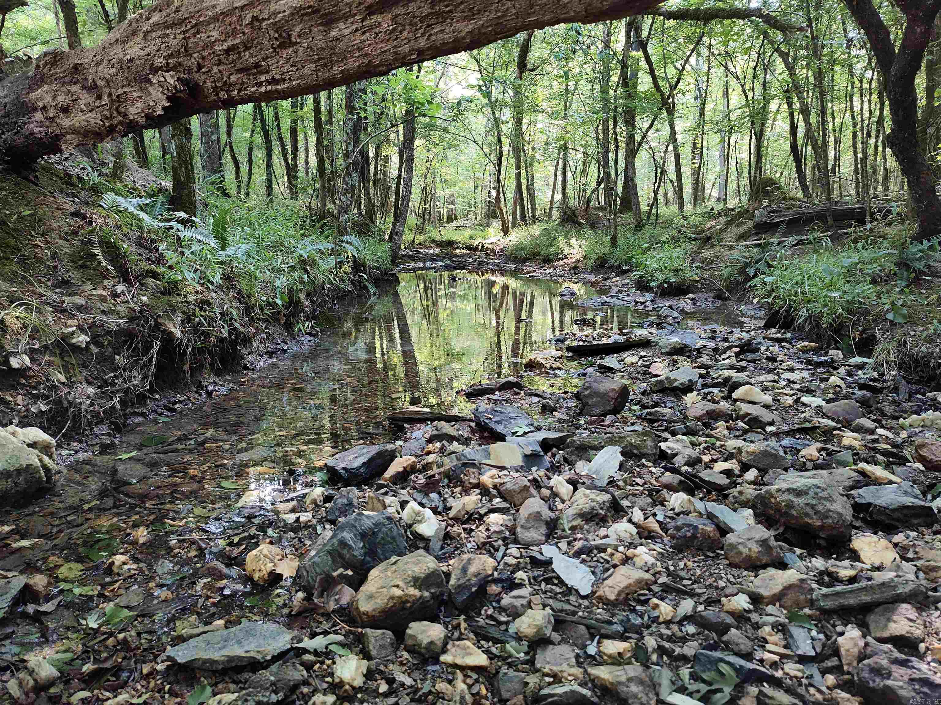 Metes & Bounds - Farm