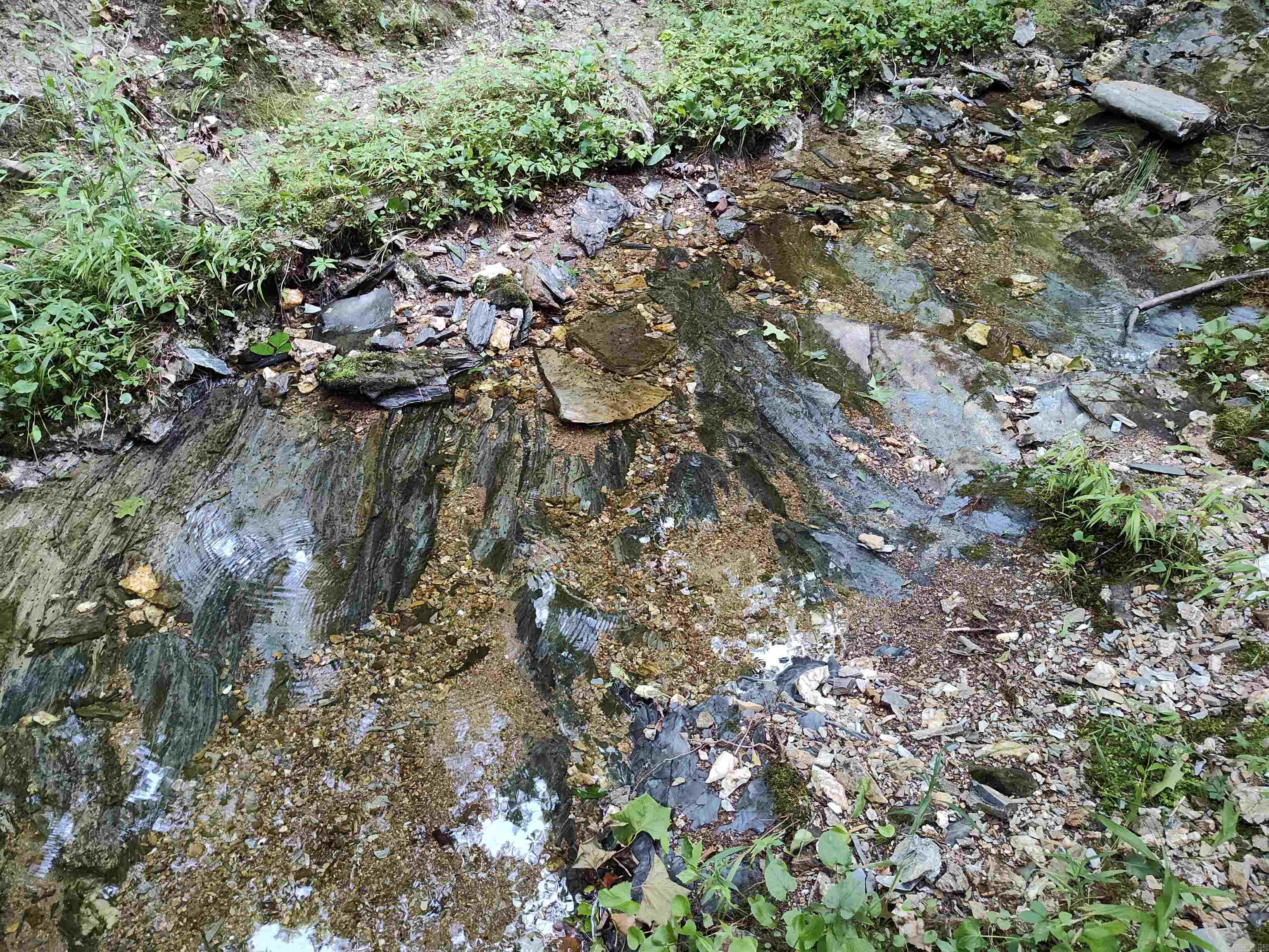 Metes & Bounds - Farm