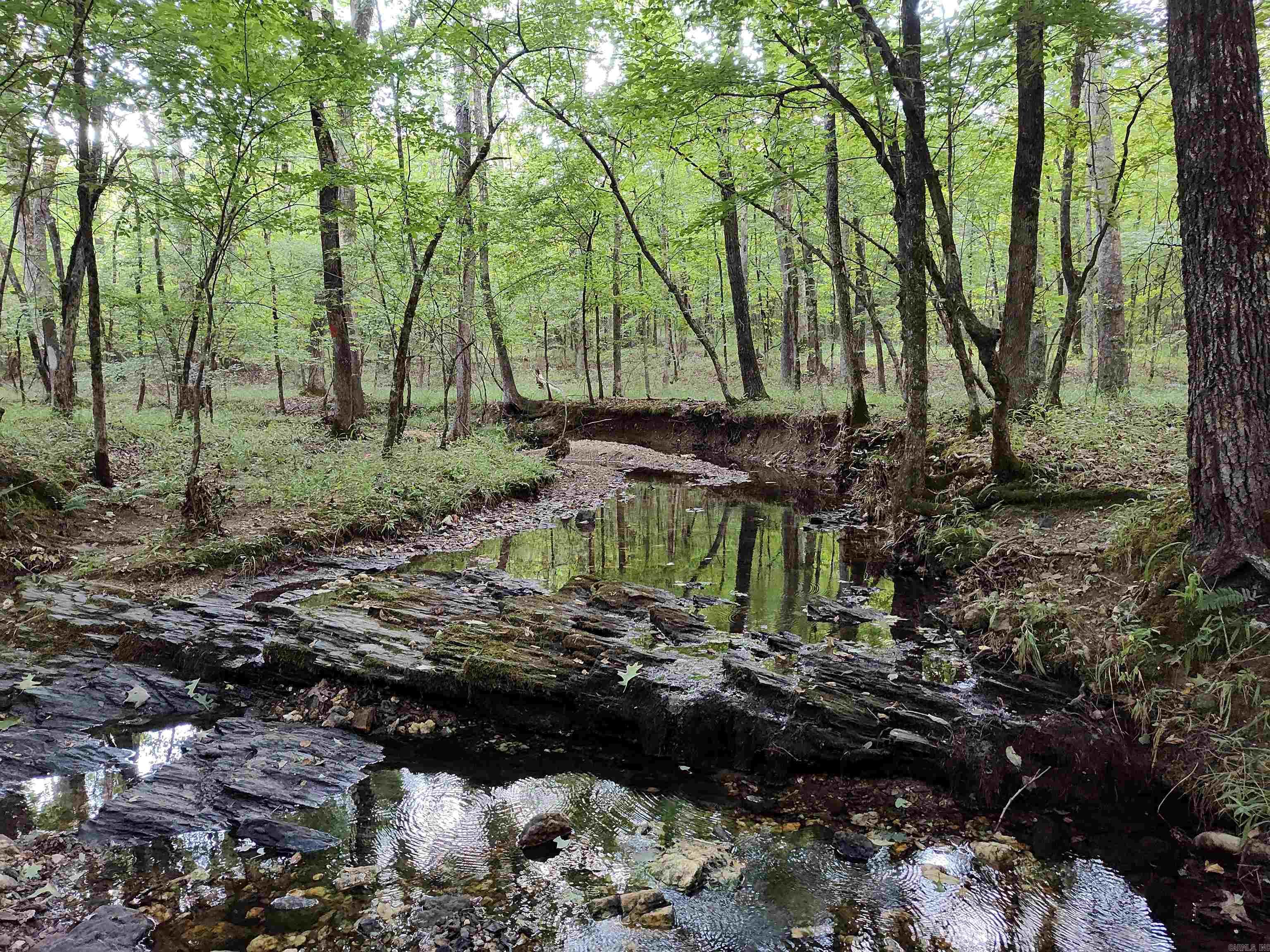 Metes & Bounds - Farm