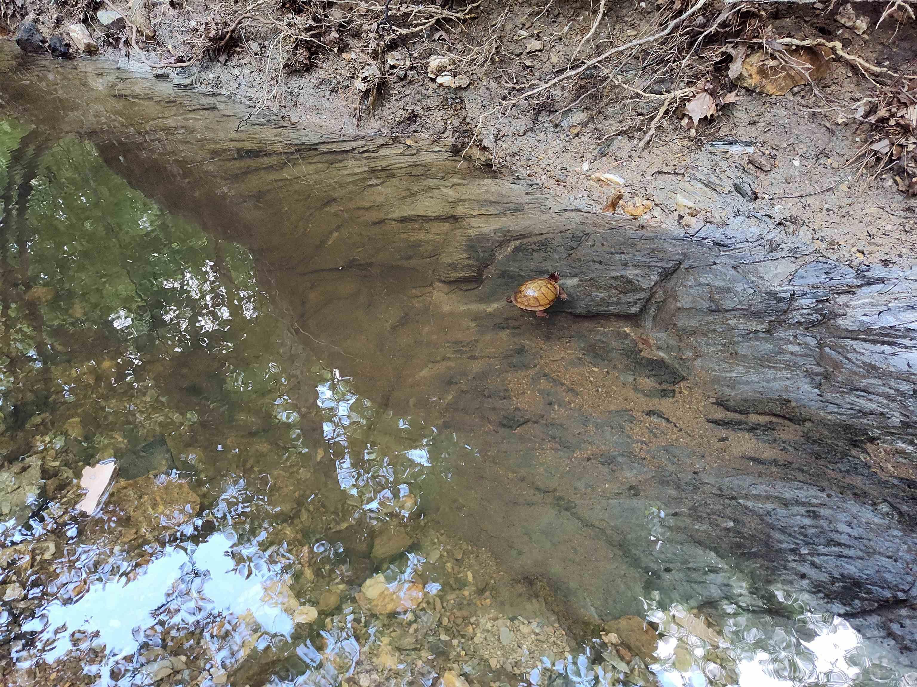 Metes & Bounds - Farm