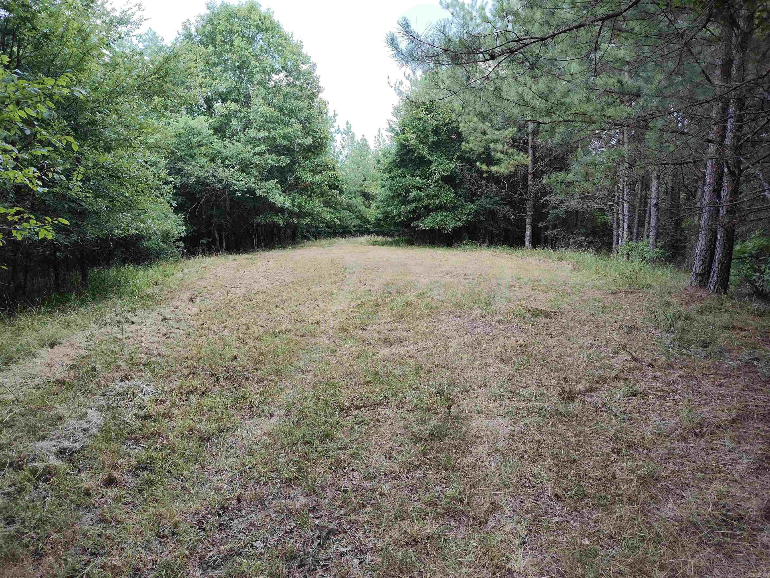 Metes & Bounds - Farm