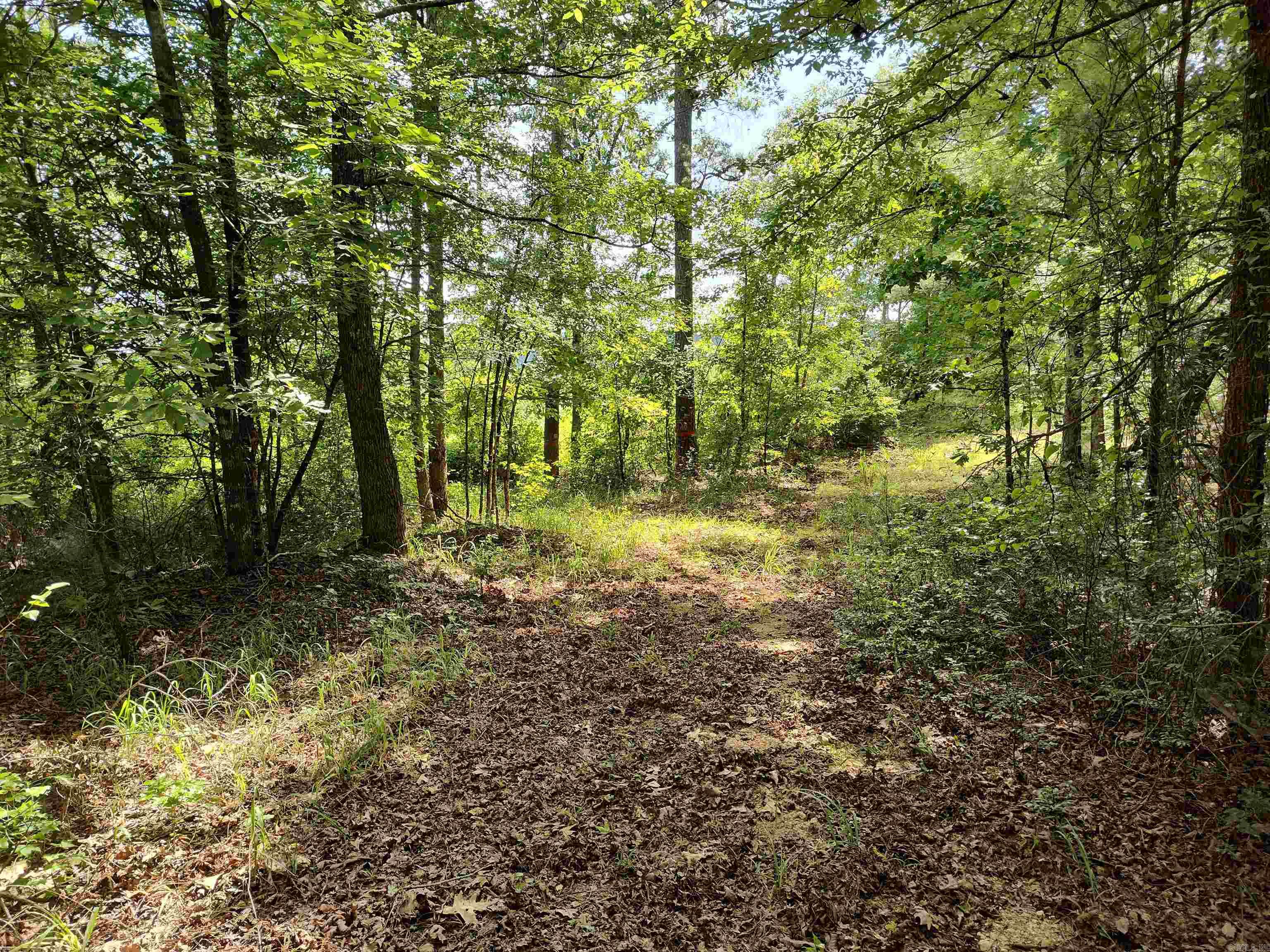 Metes & Bounds - Farm