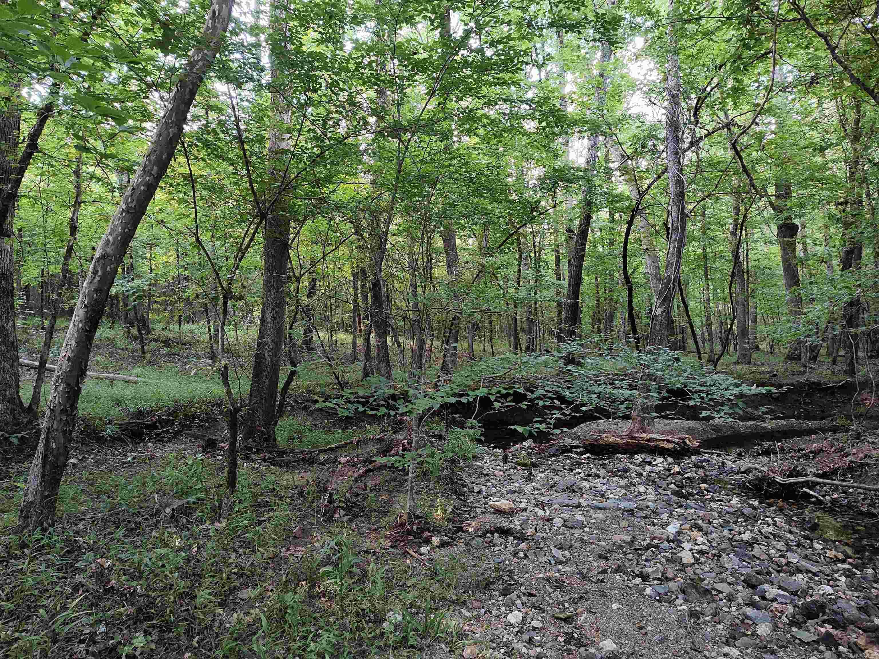 Metes & Bounds - Farm