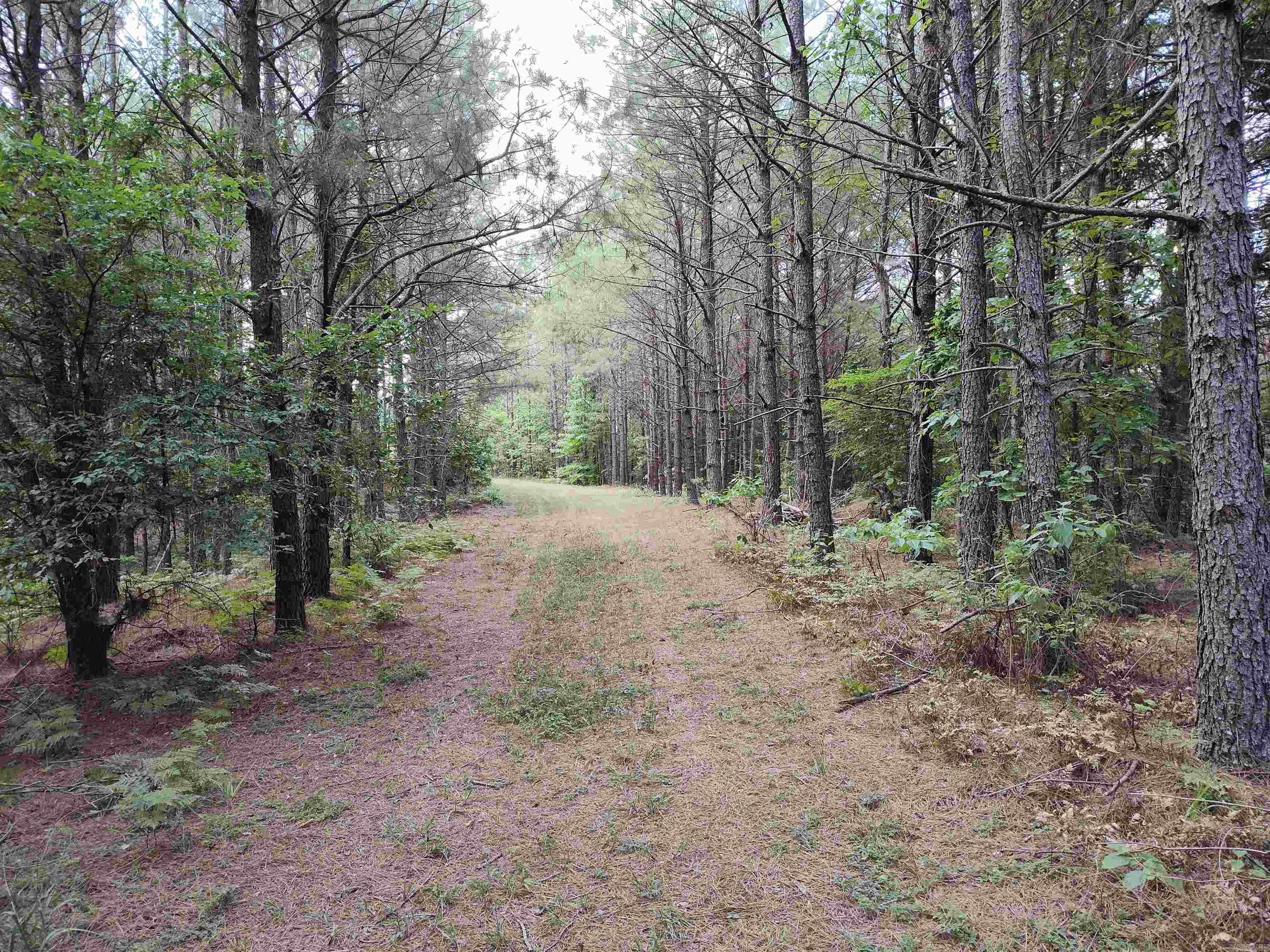 Metes & Bounds - Farm