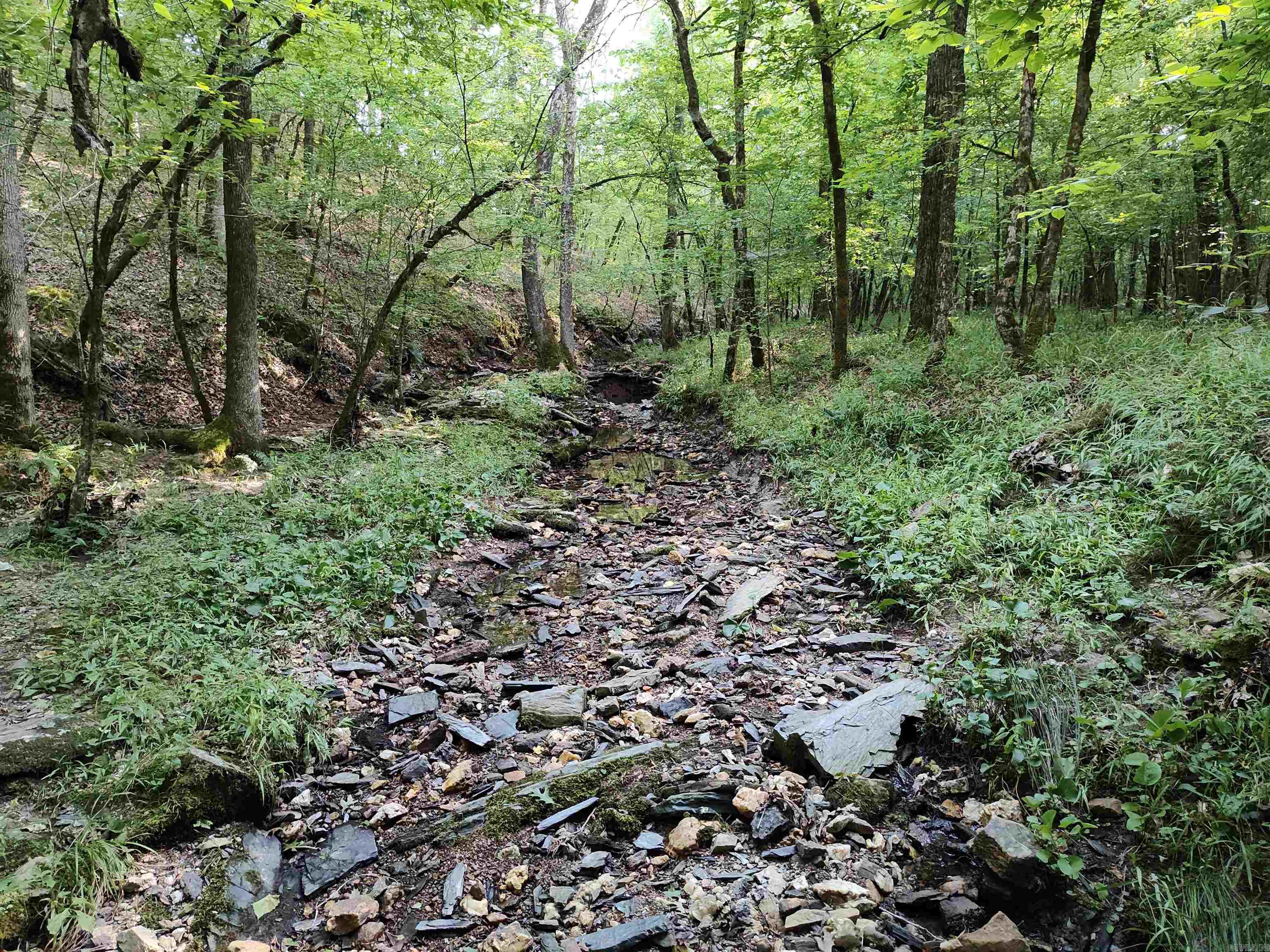 Metes & Bounds - Farm