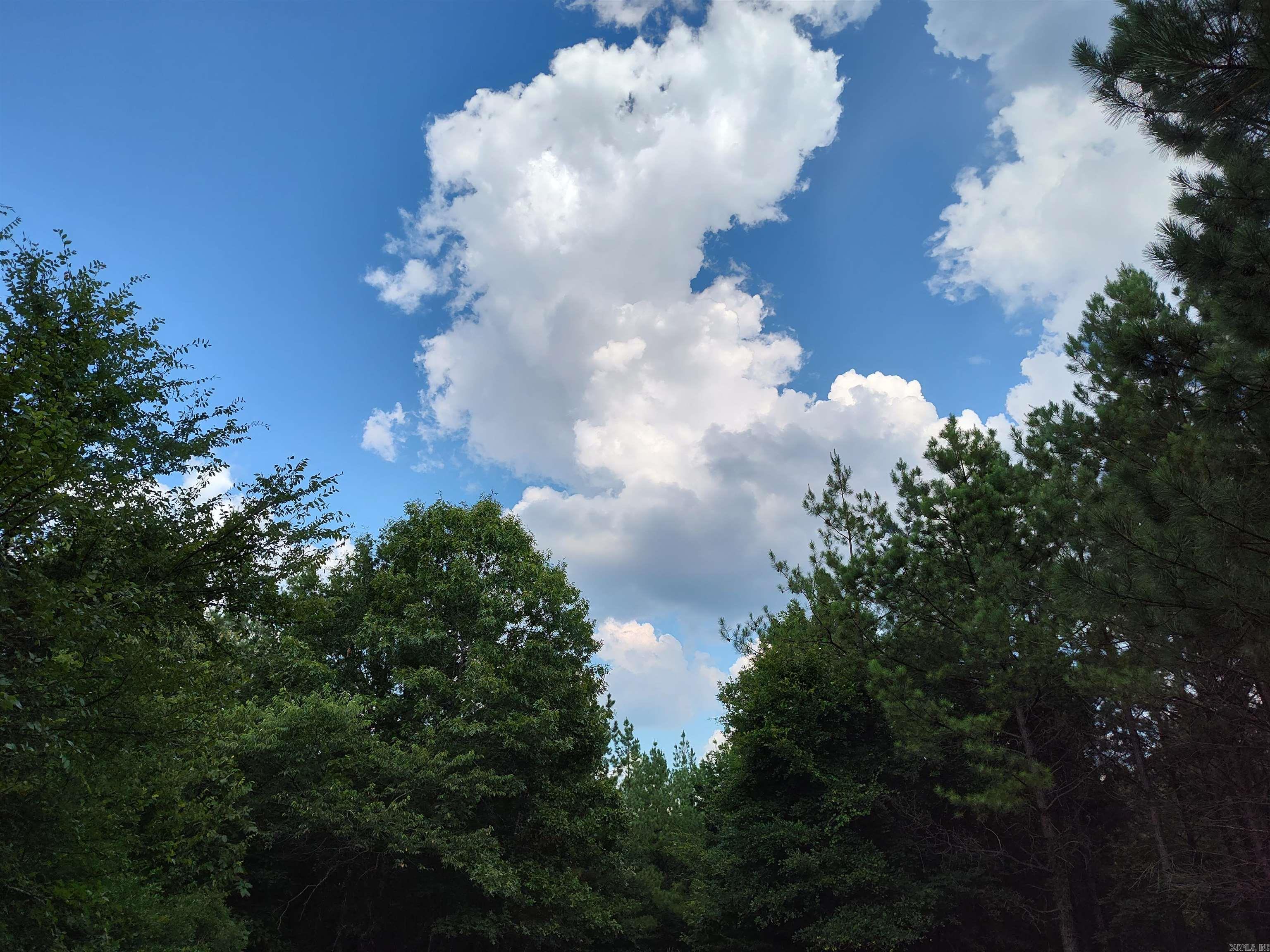 Metes & Bounds - Farm