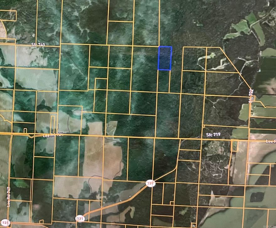 Primarily timber land. With proper management can be great deer and turkey hunting. If managed well it will have potential for future harvesting.