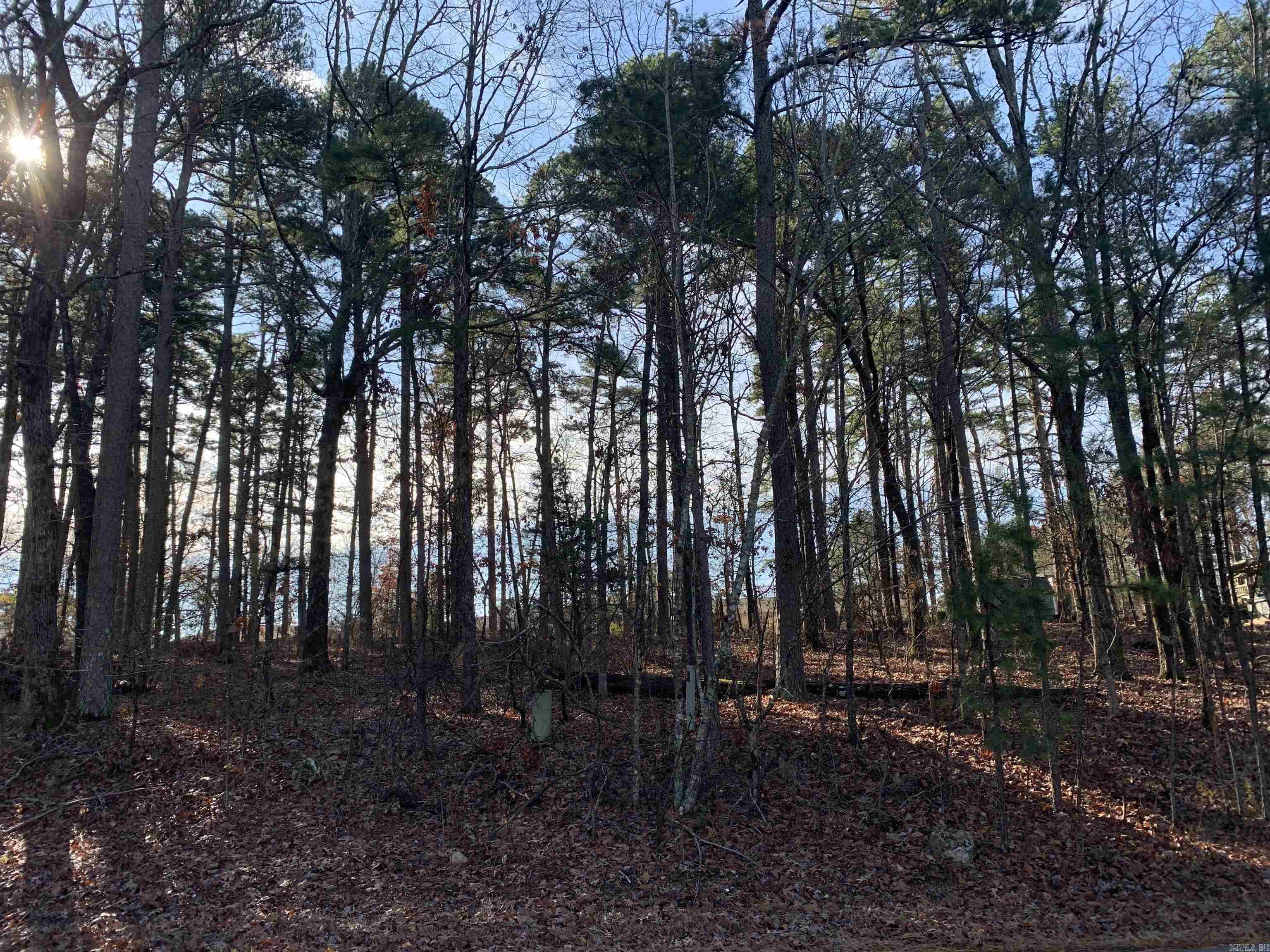 Hot Springs Village is a gated community with 9 golf courses; 12 lakes; walking trails; state of the art fitness center; tennis complex; indoor/outdoor pickbleball courts; and new outdoor pool. Come see all that the Village has to offer! New Member Buy-in Fee due at closing.