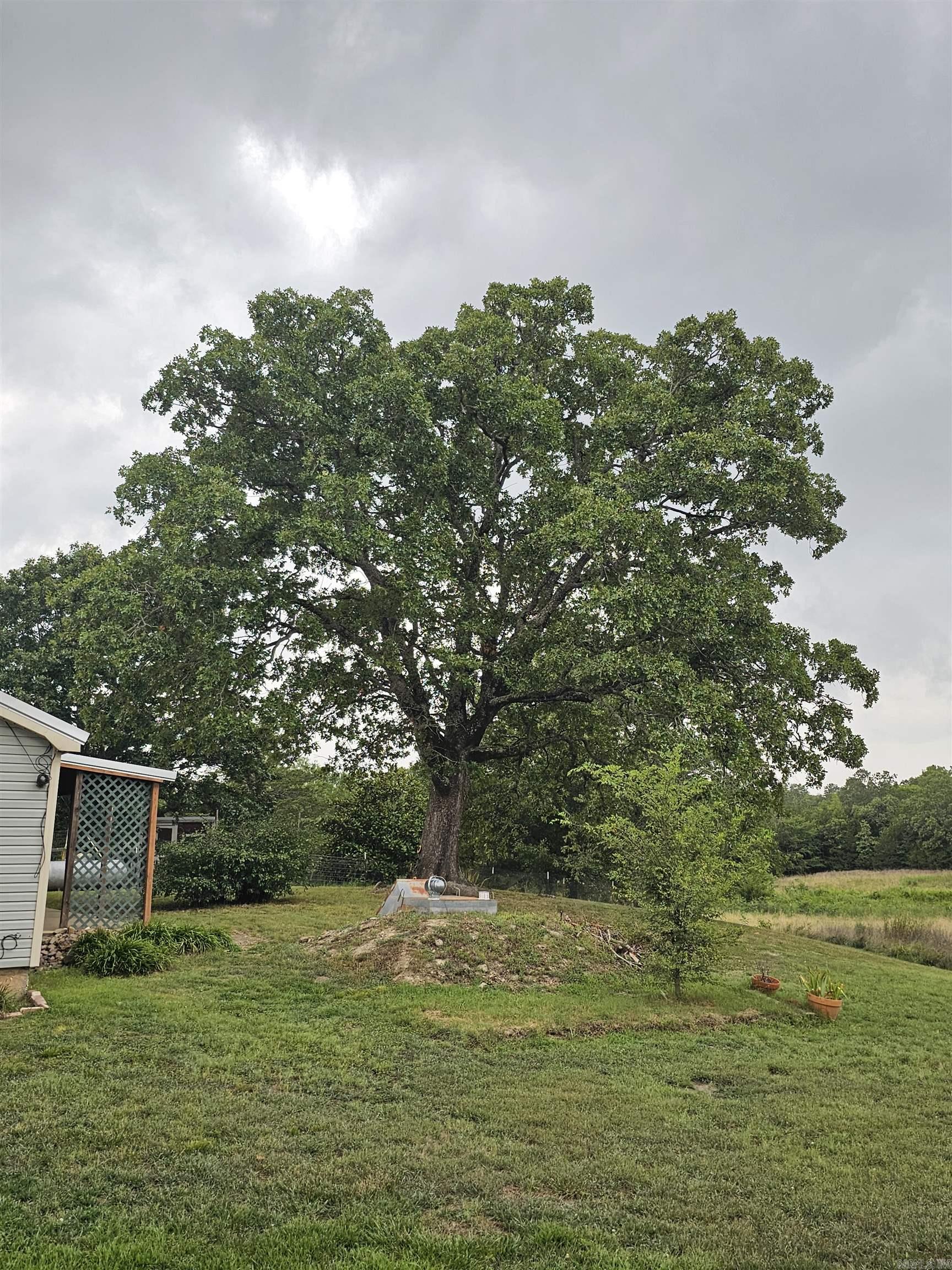 Rural Mena - Residential