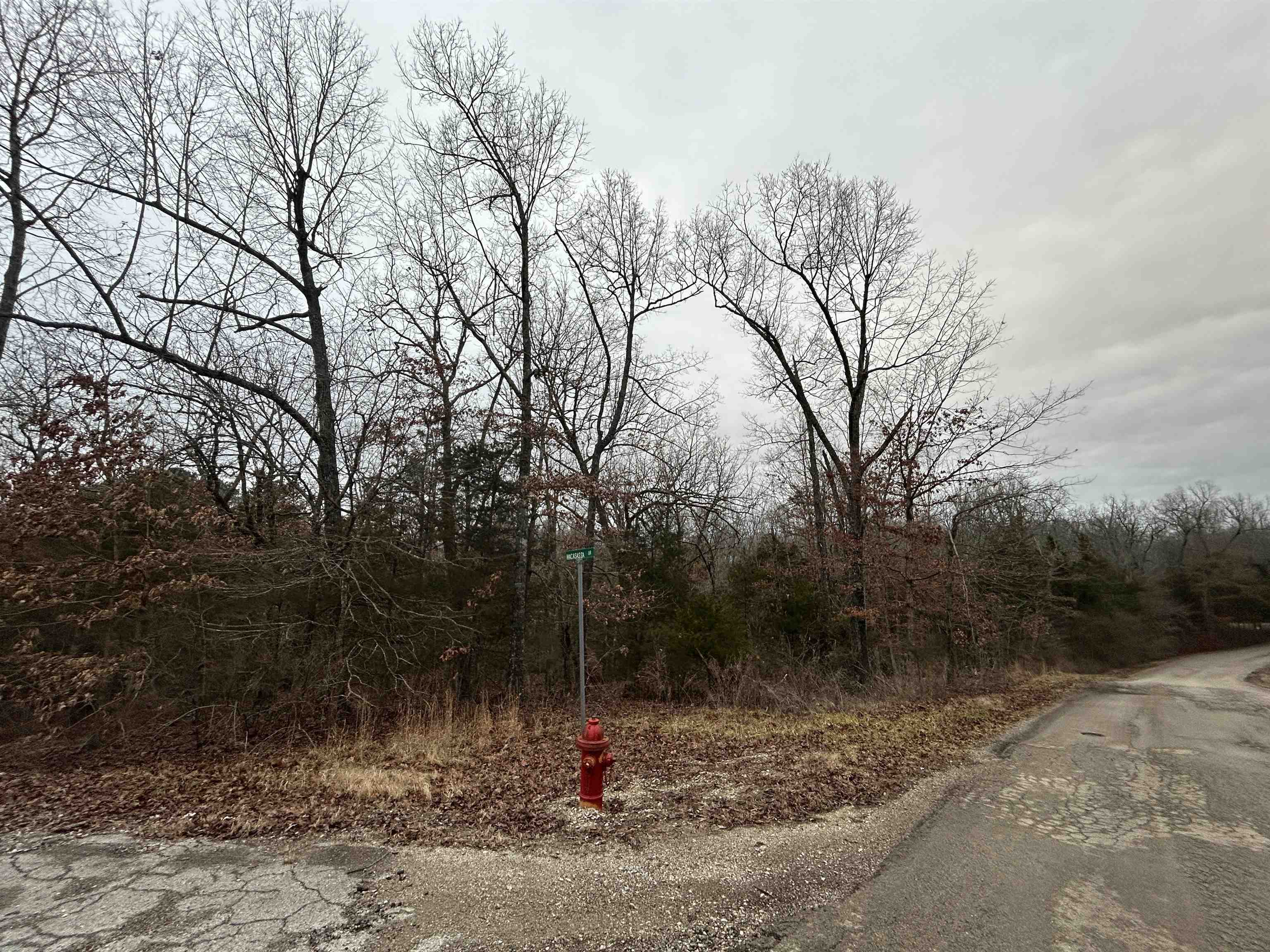 Wooded corner lot located near main entrance to Cherokee Village and Cherokee Elementary & Highland School campuses. City water fire hydrant and power lines at the road. No close neighbors. Ownership of lot grants access to area amenities such as 7 lakes for boating, fishing, tubing and swimming; indoor & outdoor swimming pools, beach, South Fork Spring River, 2 18-hole Golf Courses, 2 Community Centers, walking trails & parks. No mobile homes/RV's permitted. Suitable for building your dream home!