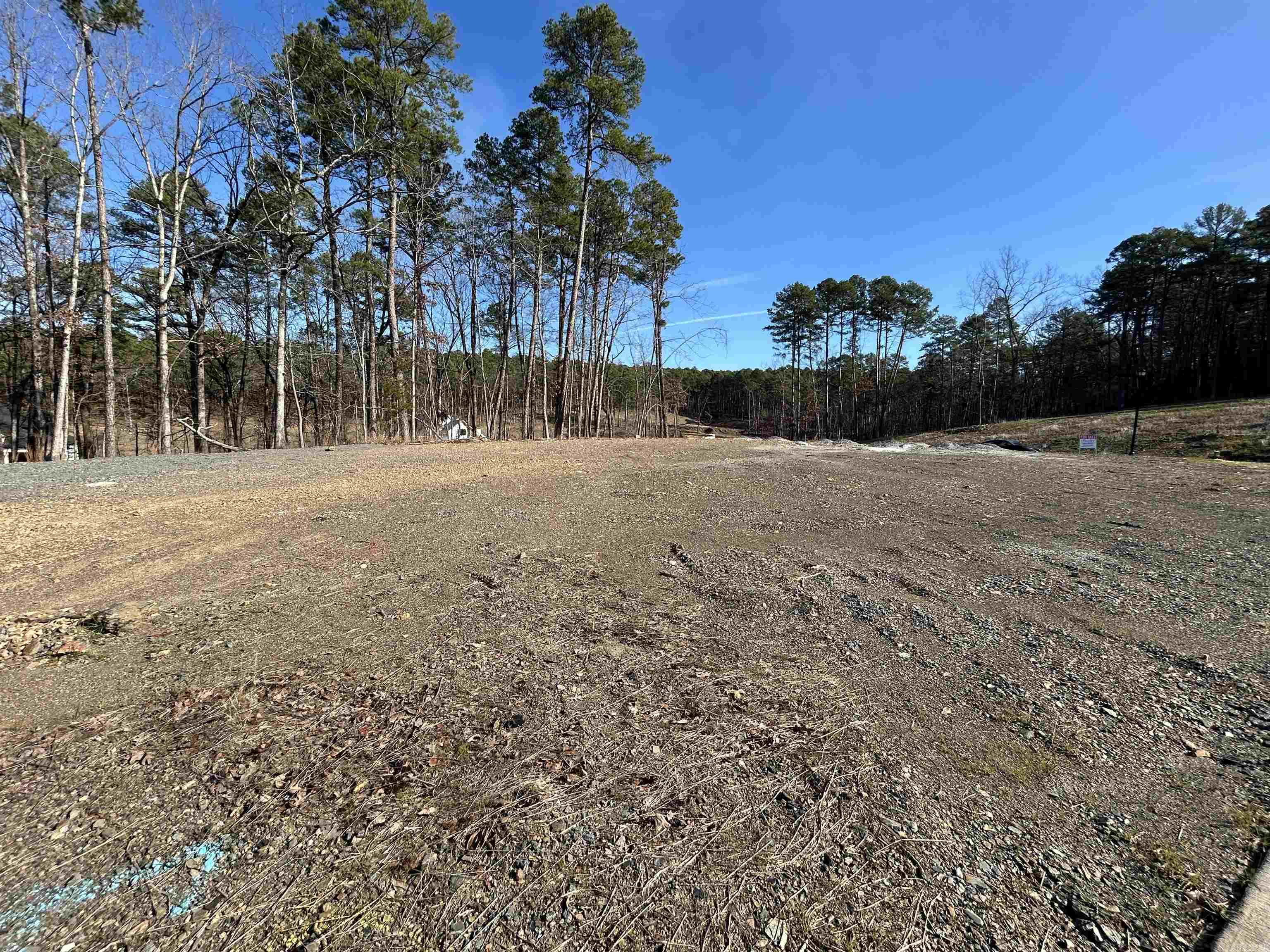CHENAL VALLEY ABINGTON COURT - Land