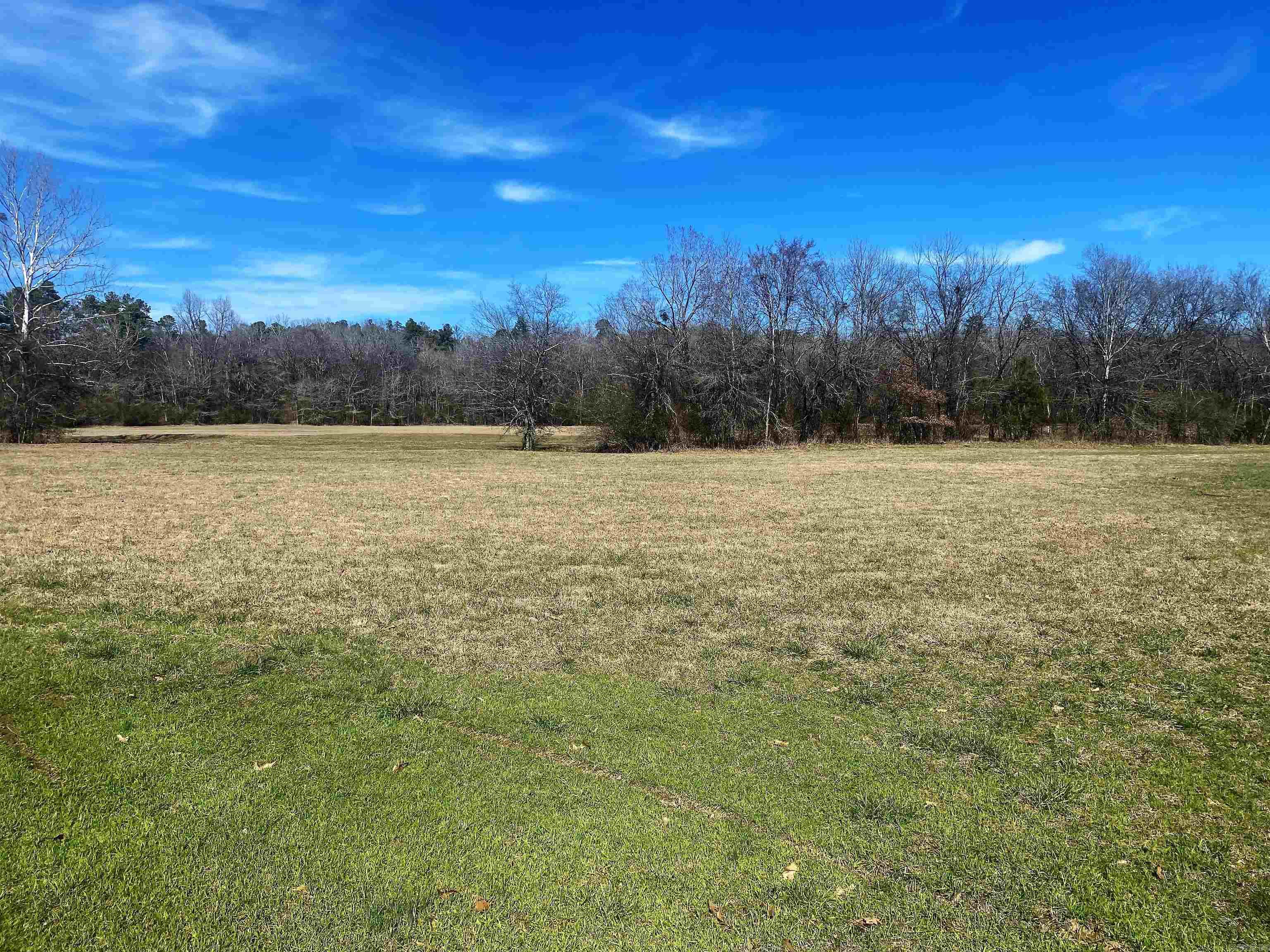 Beautiful property located 20 minutes from Benton and 15 minutes from Arkadelphia. This property includes pasture and wooded areas filled with biking and hiking trails. Although the pasture land is lowland, Flood Plain due to property being near the Prairie Bayou, the left side of the property extends very high above the pasture land and would be a great Home site. Come take a look/ walk this property and see how amazing it is. Property is divided by the Creek, Prairie Bayou. MOL 60+ Acres.