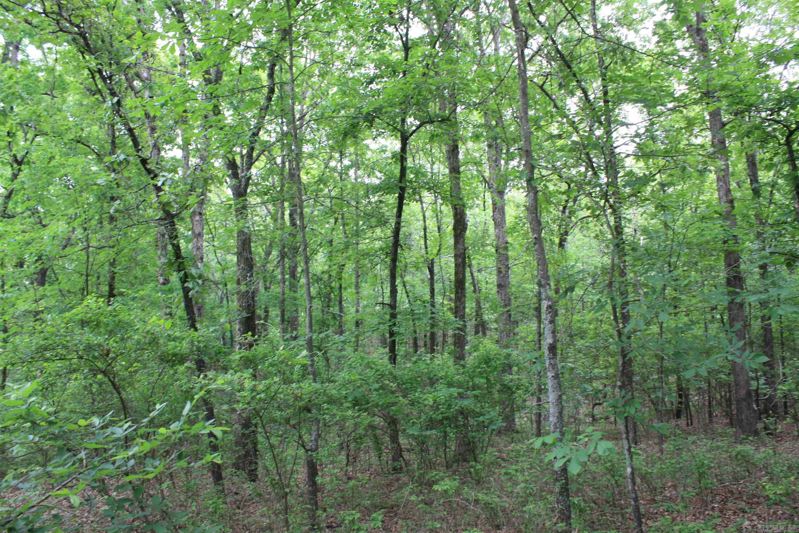 Not in Subdivision - Land