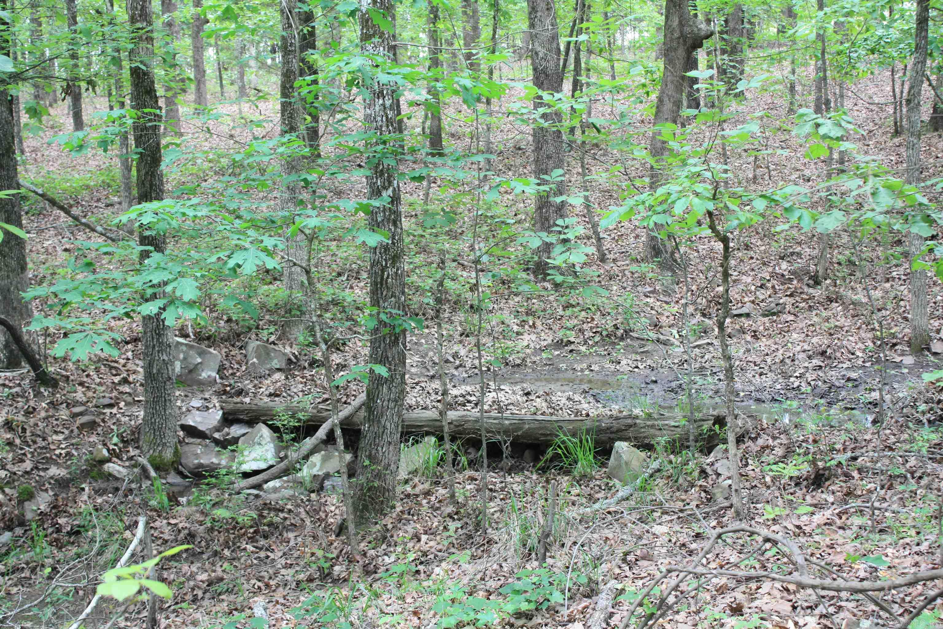 Not in Subdivision - Land