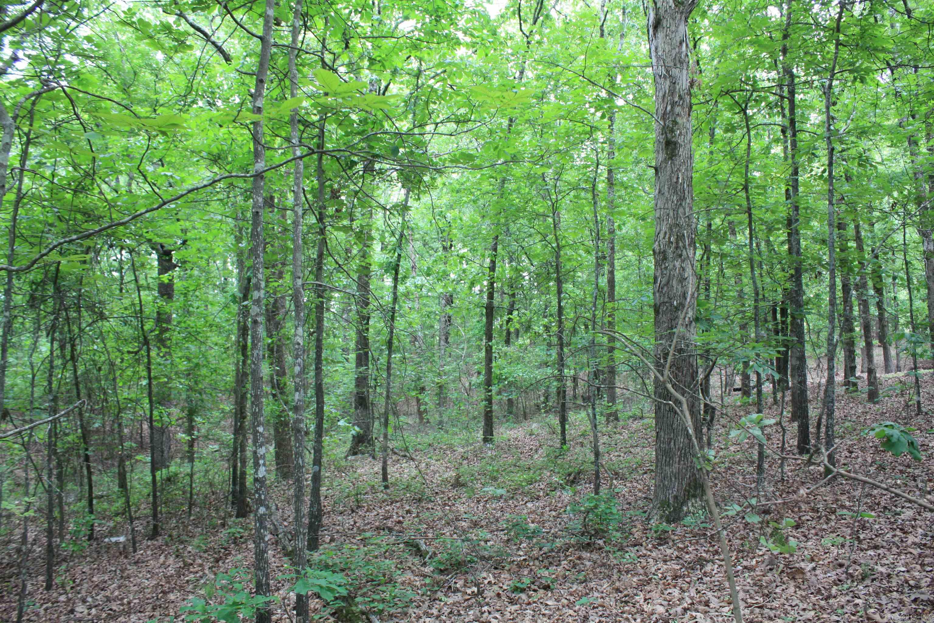 Not in Subdivision - Land